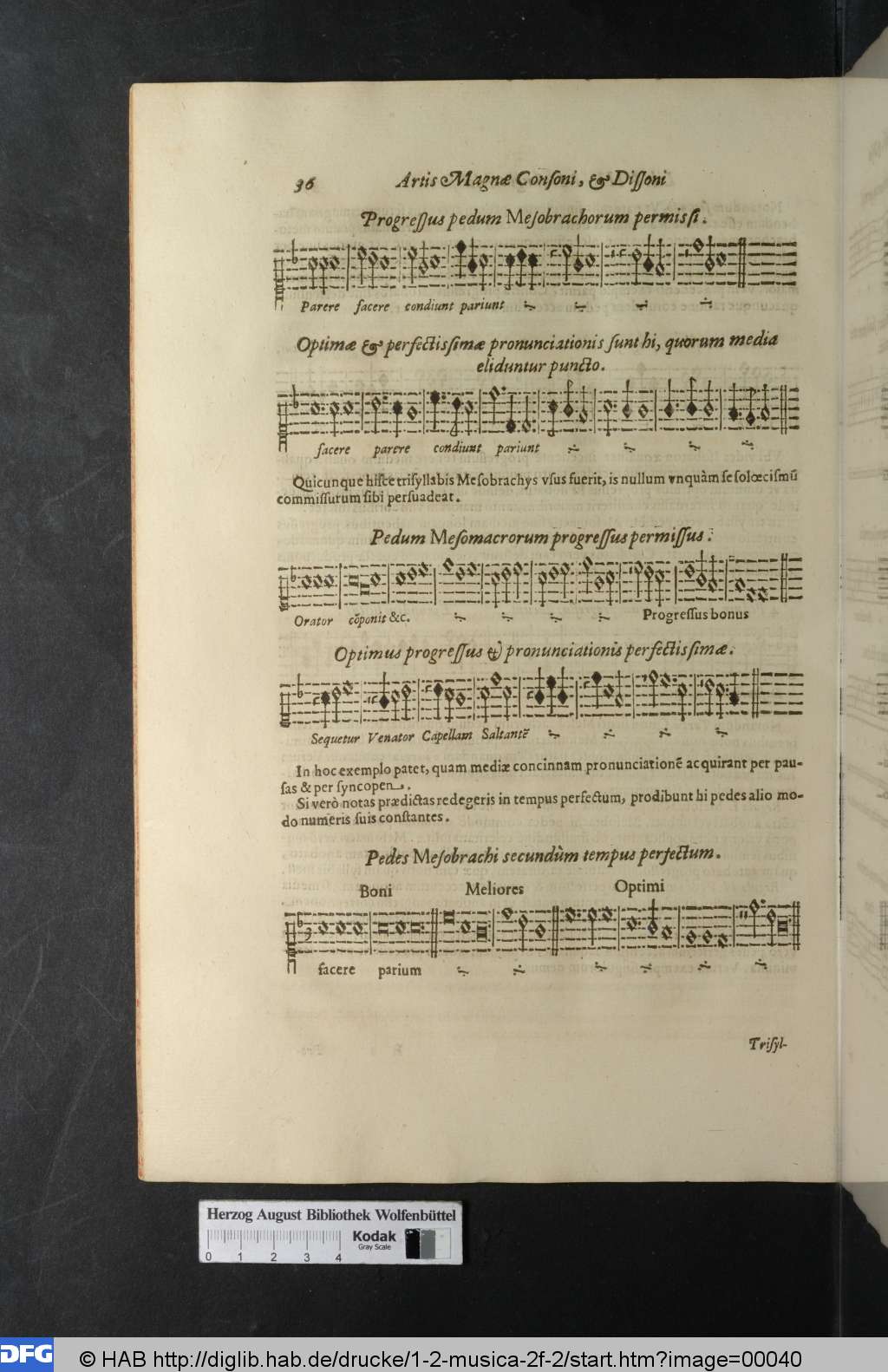 http://diglib.hab.de/drucke/1-2-musica-2f-2/00040.jpg
