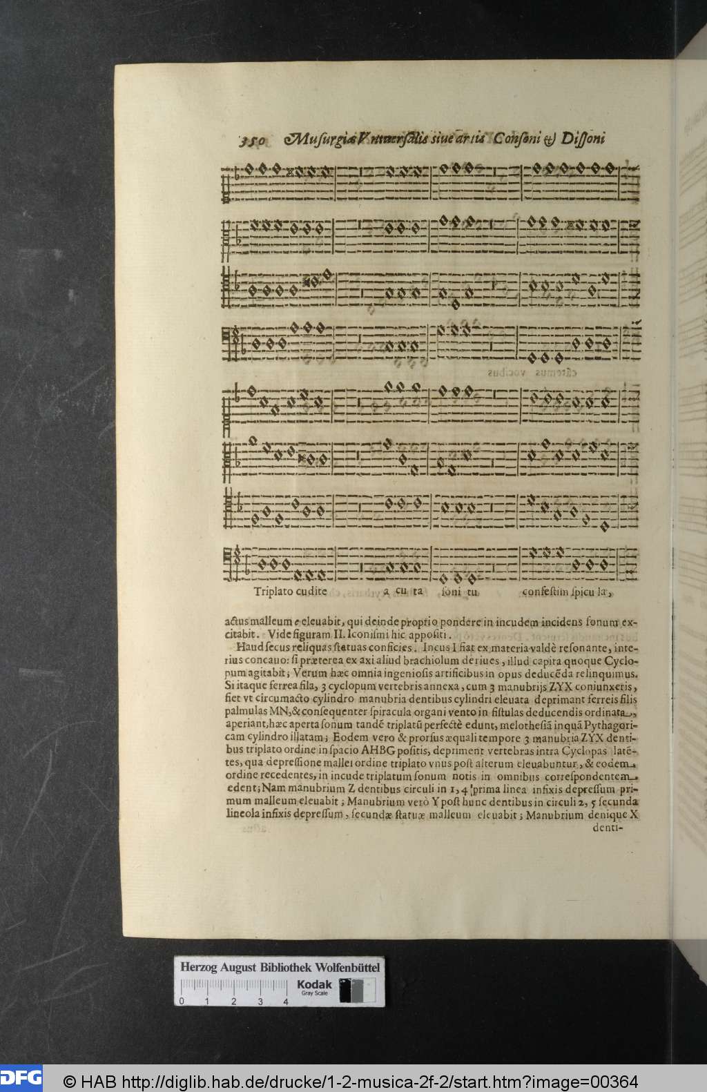 http://diglib.hab.de/drucke/1-2-musica-2f-2/00364.jpg