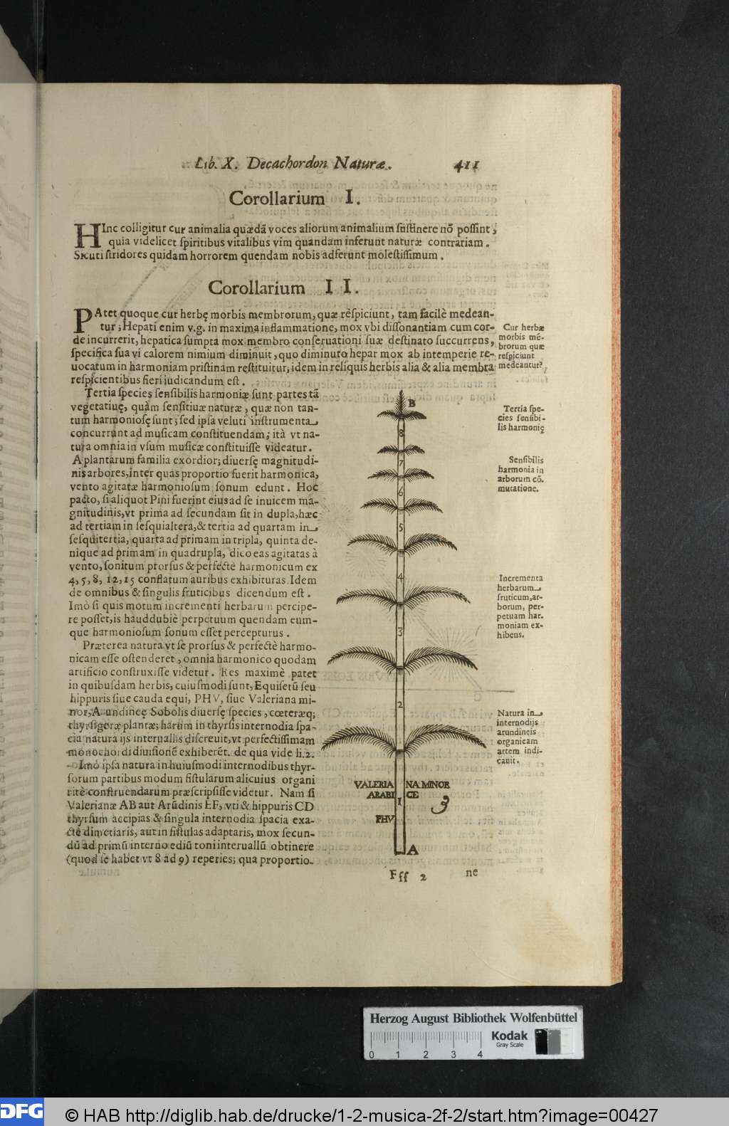 http://diglib.hab.de/drucke/1-2-musica-2f-2/00427.jpg