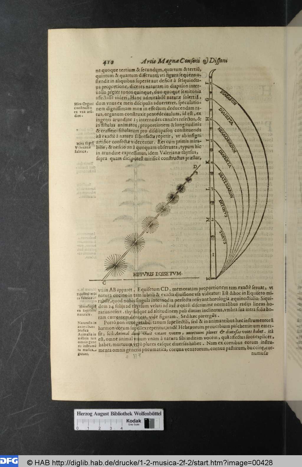 http://diglib.hab.de/drucke/1-2-musica-2f-2/00428.jpg