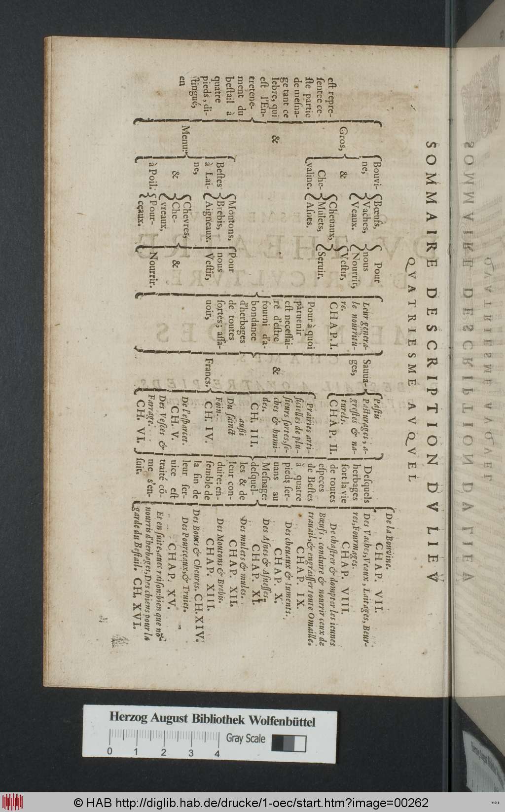 http://diglib.hab.de/drucke/1-oec/00262.jpg
