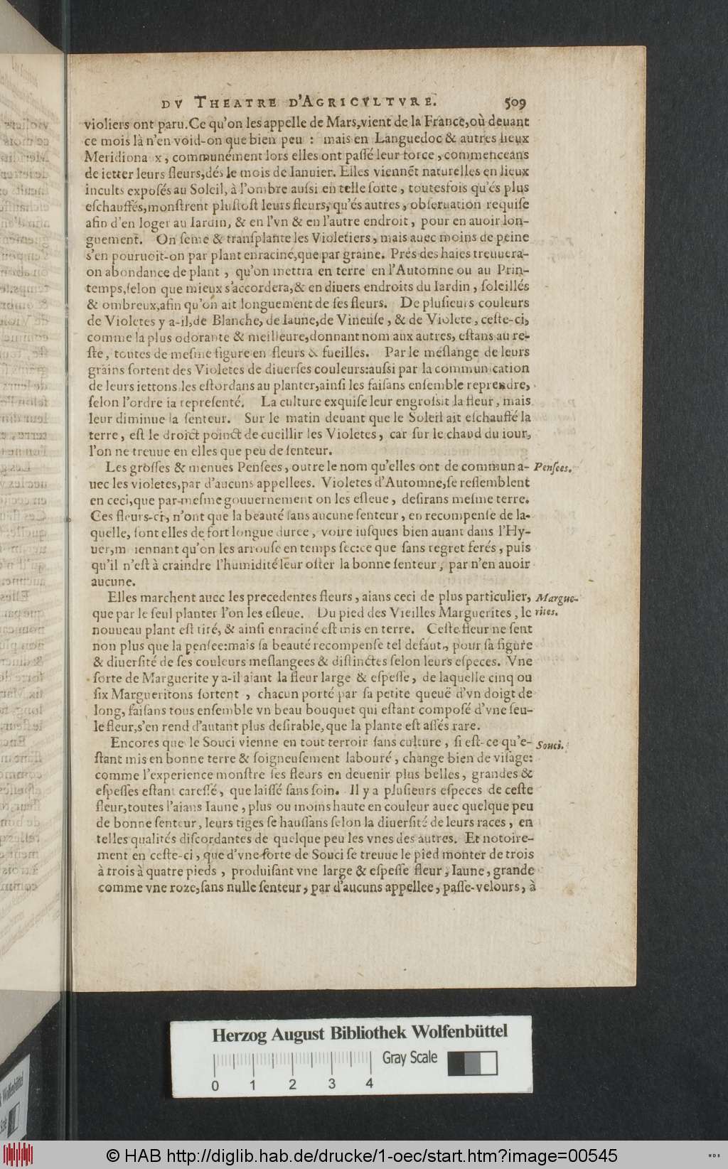 http://diglib.hab.de/drucke/1-oec/00545.jpg