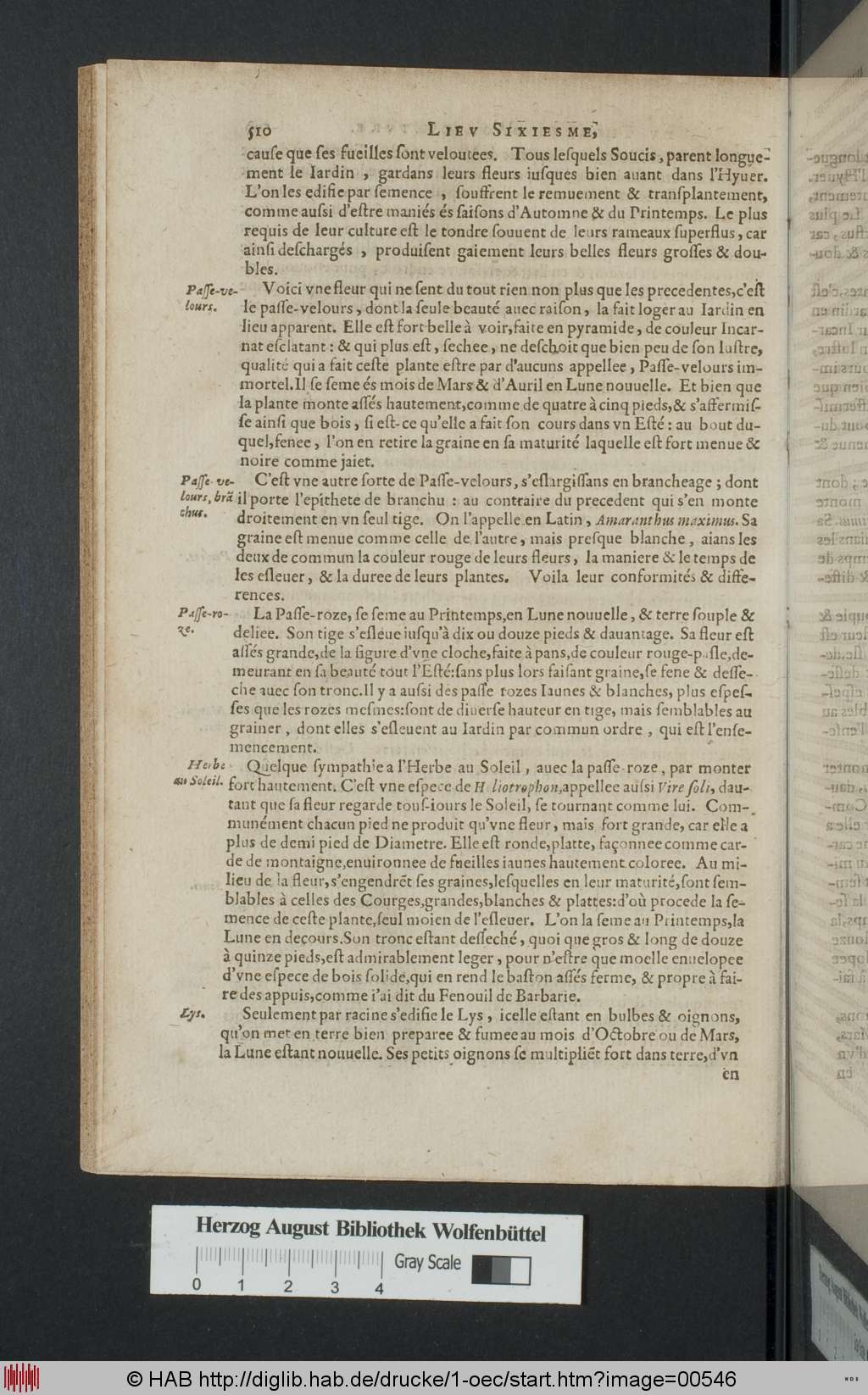 http://diglib.hab.de/drucke/1-oec/00546.jpg