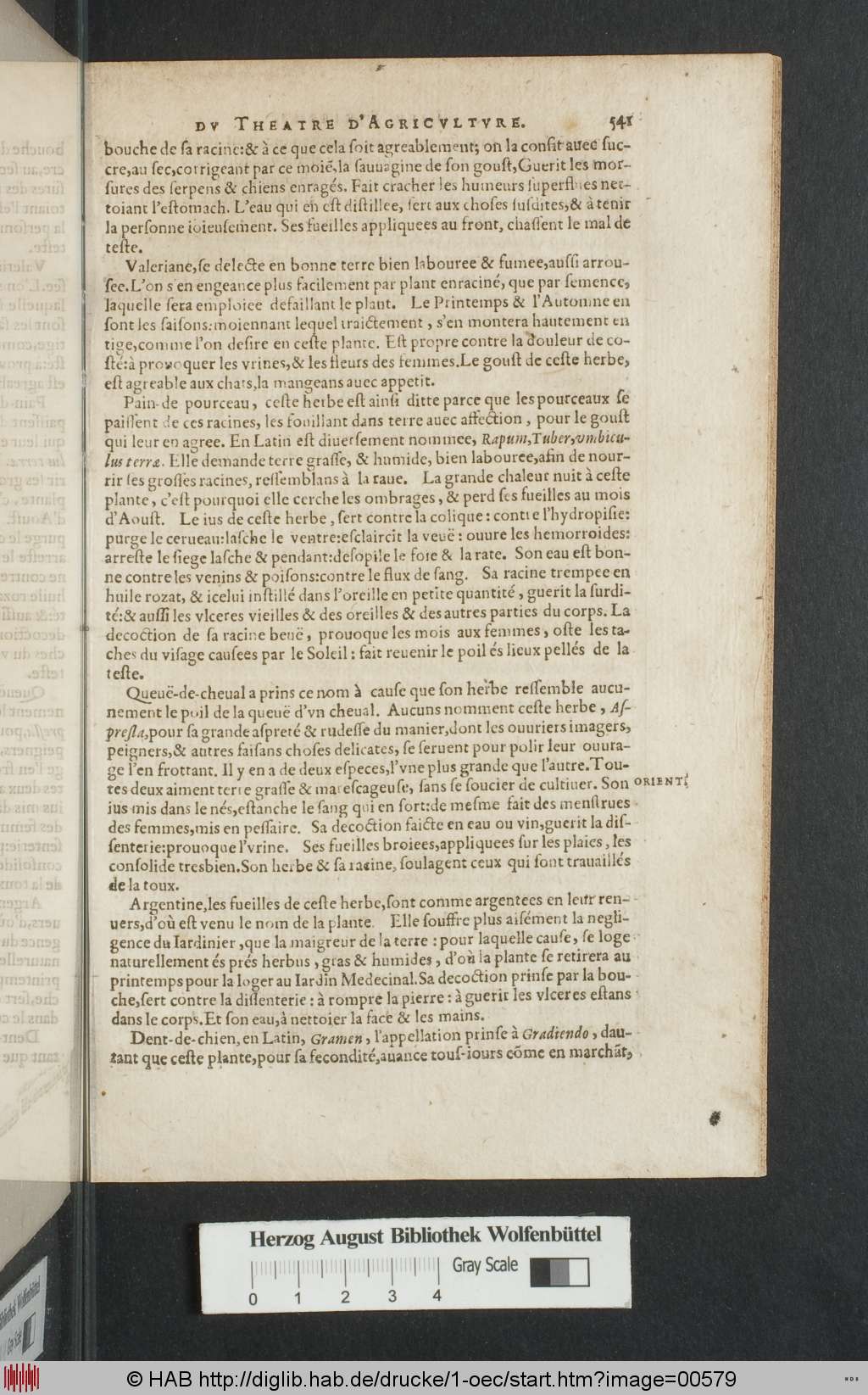 http://diglib.hab.de/drucke/1-oec/00579.jpg