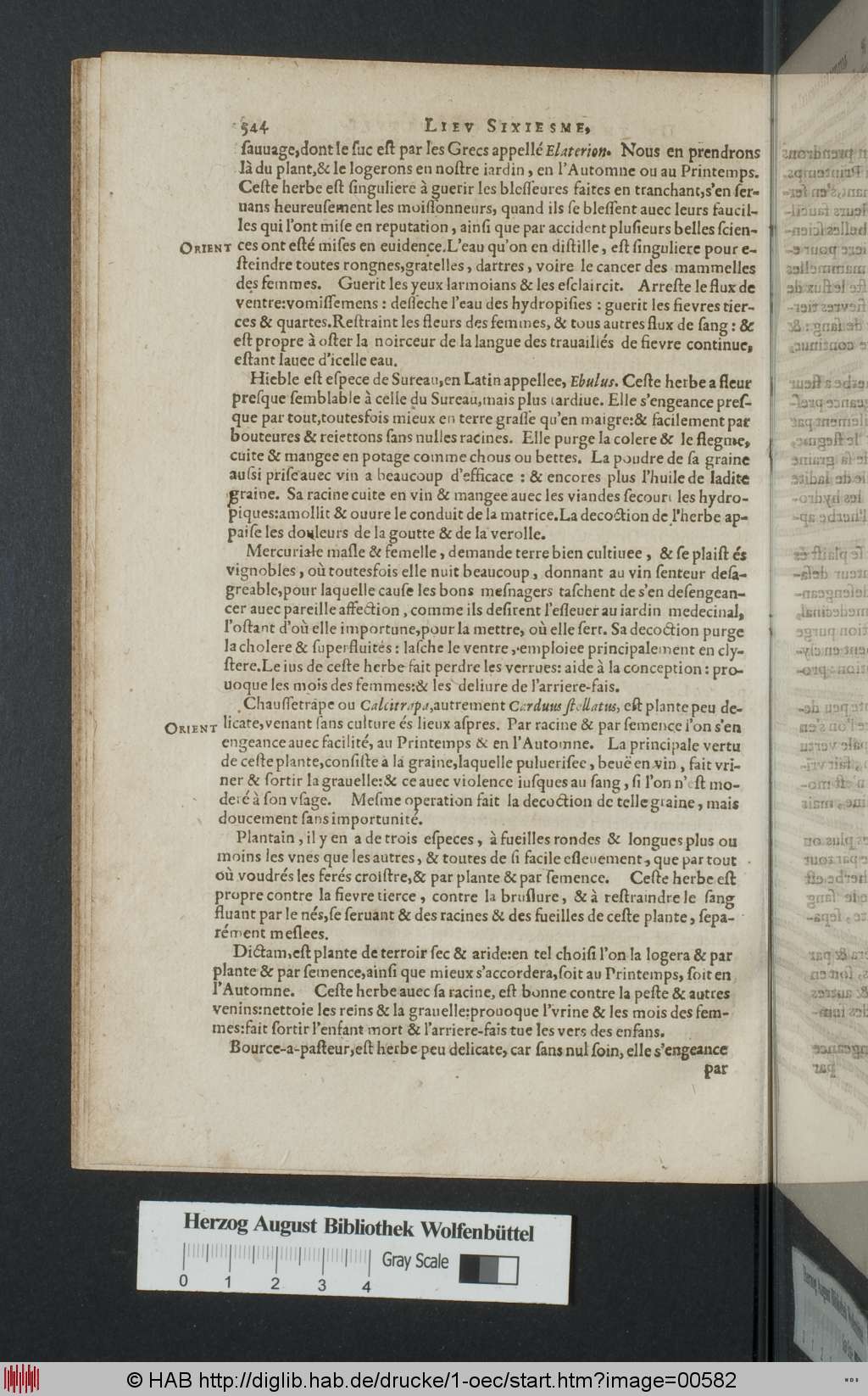 http://diglib.hab.de/drucke/1-oec/00582.jpg