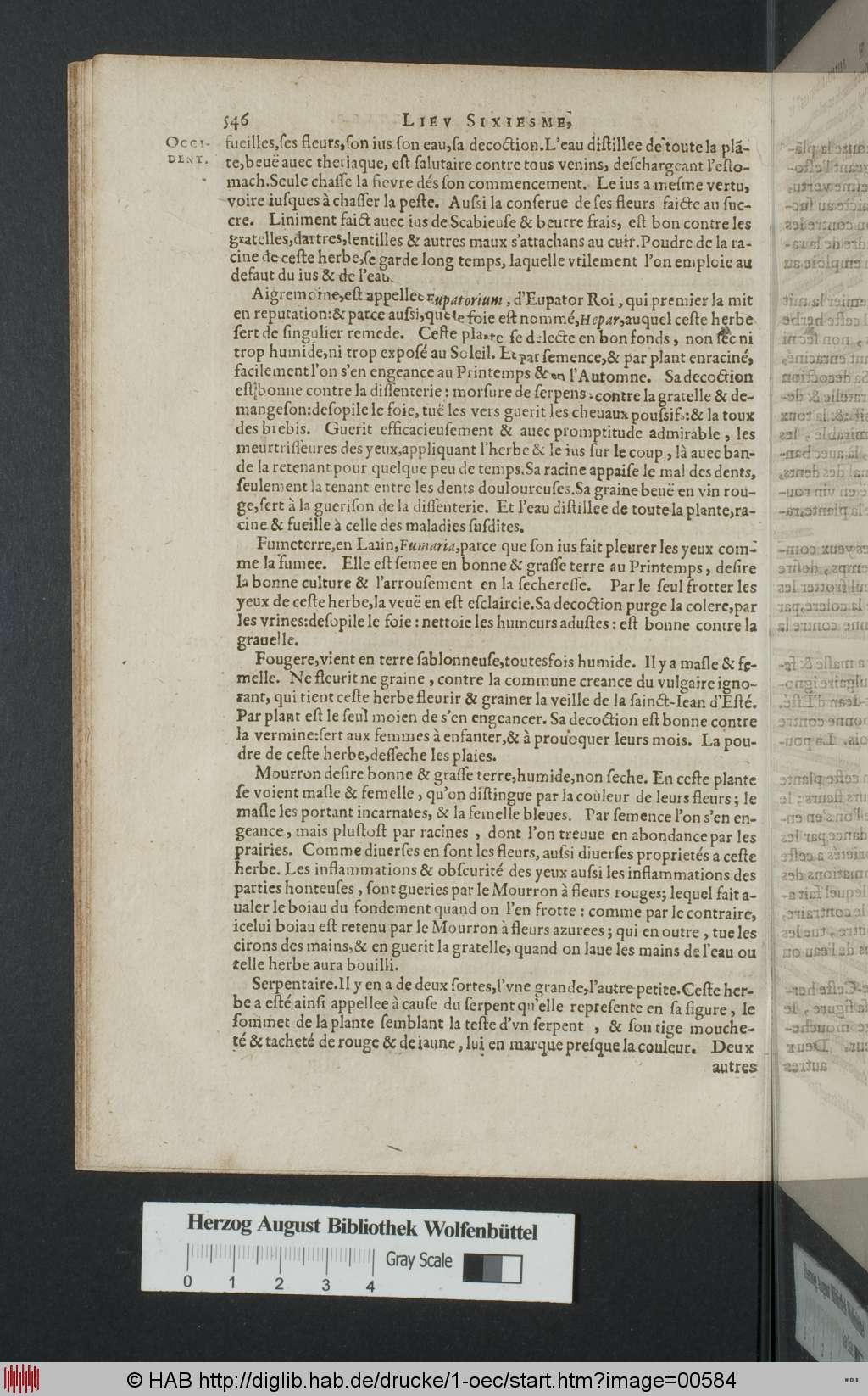 http://diglib.hab.de/drucke/1-oec/00584.jpg