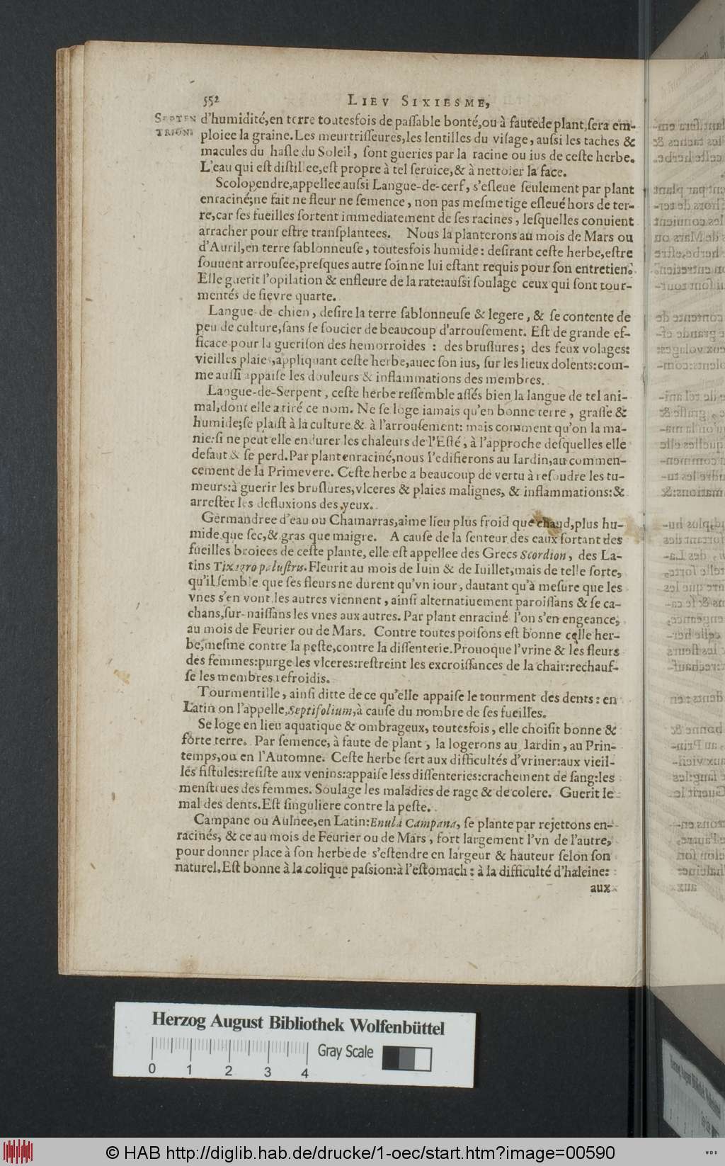 http://diglib.hab.de/drucke/1-oec/00590.jpg