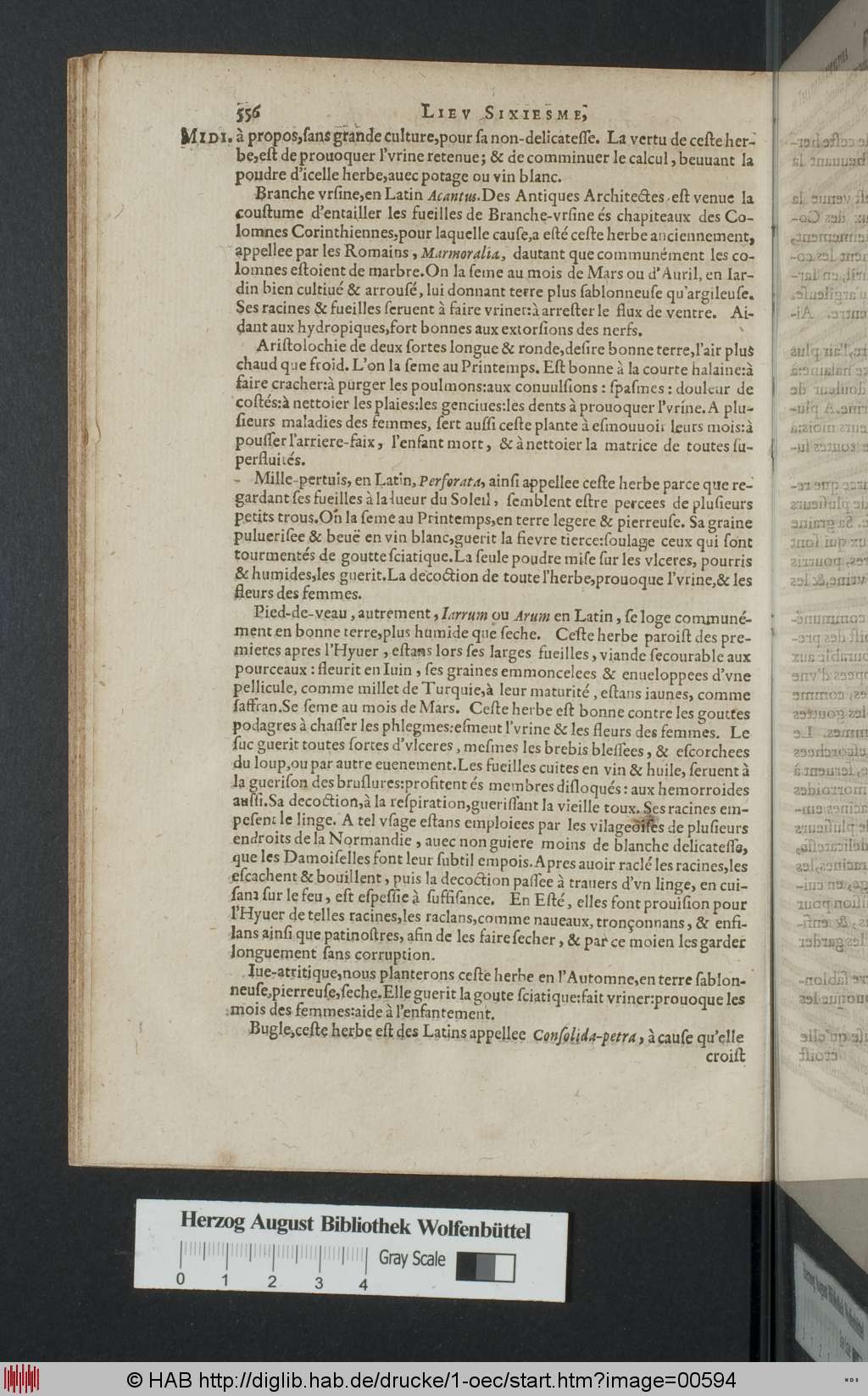 http://diglib.hab.de/drucke/1-oec/00594.jpg