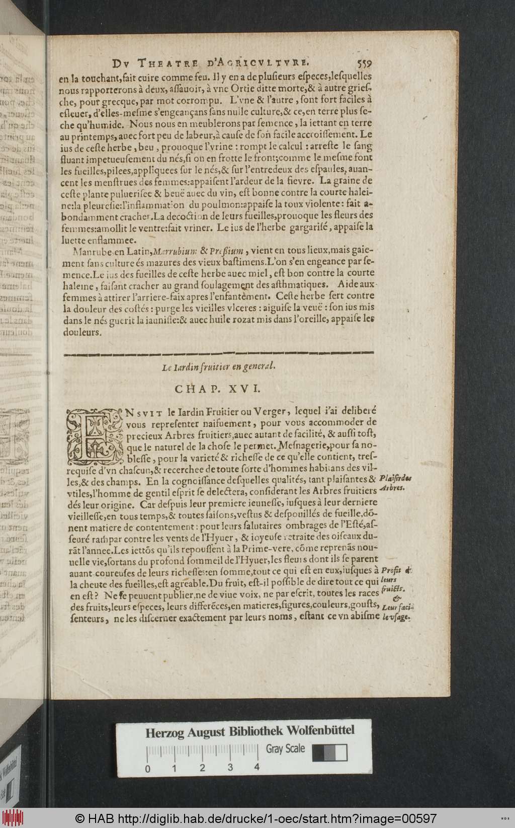 http://diglib.hab.de/drucke/1-oec/00597.jpg