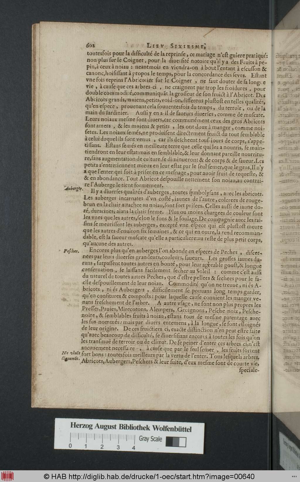 http://diglib.hab.de/drucke/1-oec/00640.jpg