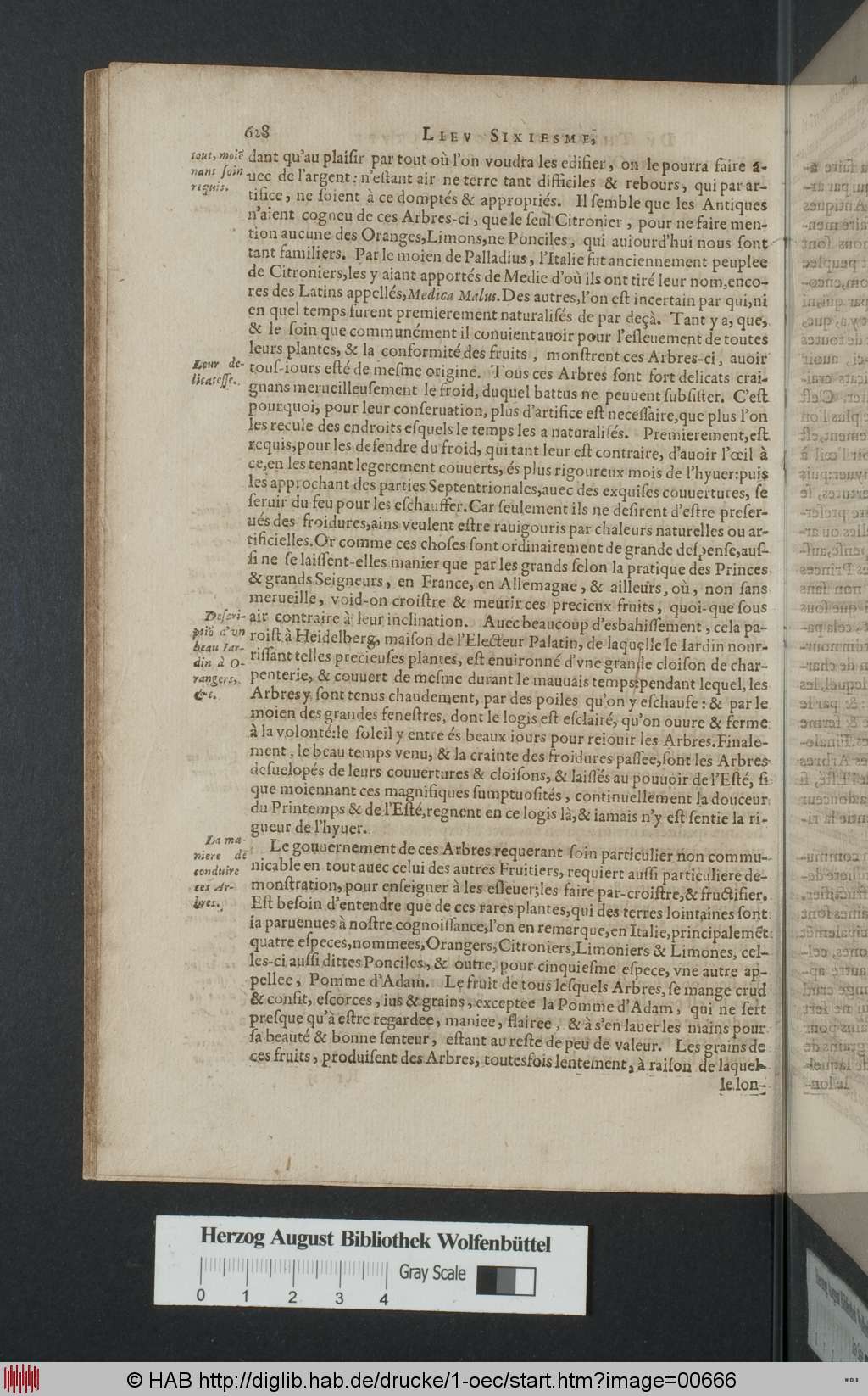http://diglib.hab.de/drucke/1-oec/00666.jpg