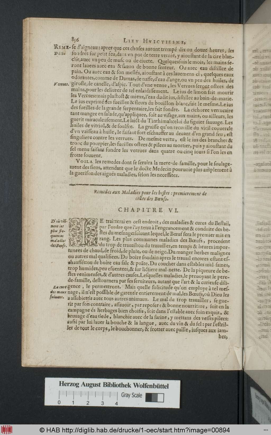 http://diglib.hab.de/drucke/1-oec/00894.jpg