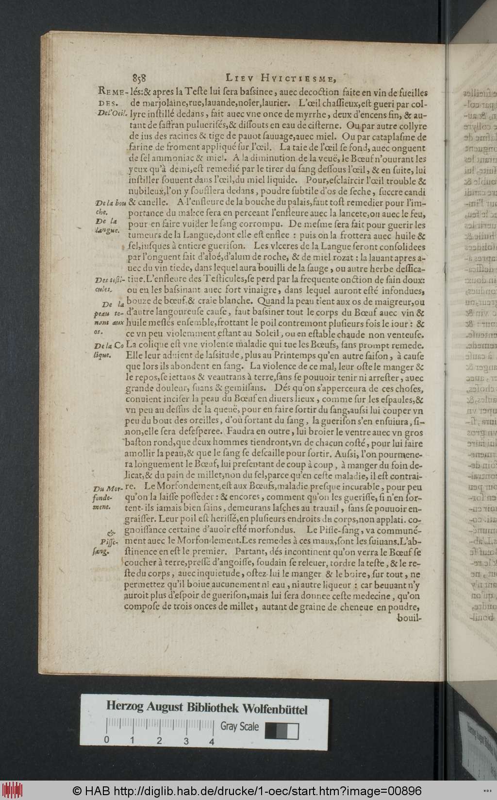 http://diglib.hab.de/drucke/1-oec/00896.jpg