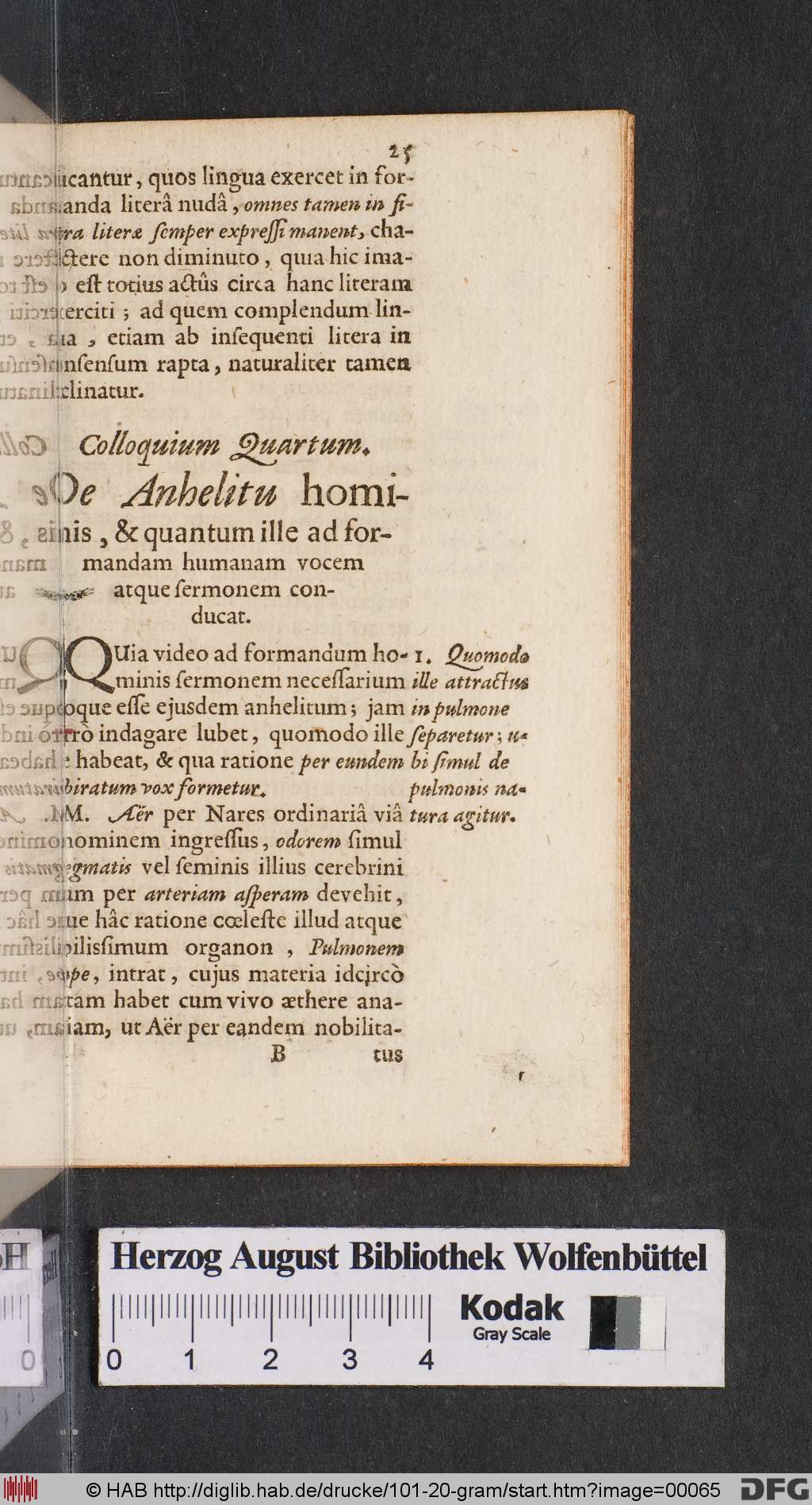 http://diglib.hab.de/drucke/101-20-gram/00065.jpg