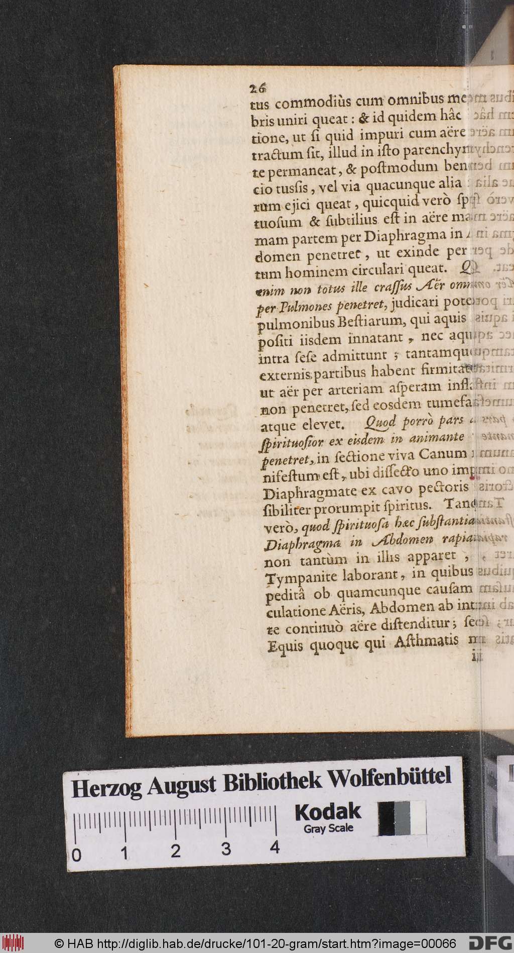 http://diglib.hab.de/drucke/101-20-gram/00066.jpg