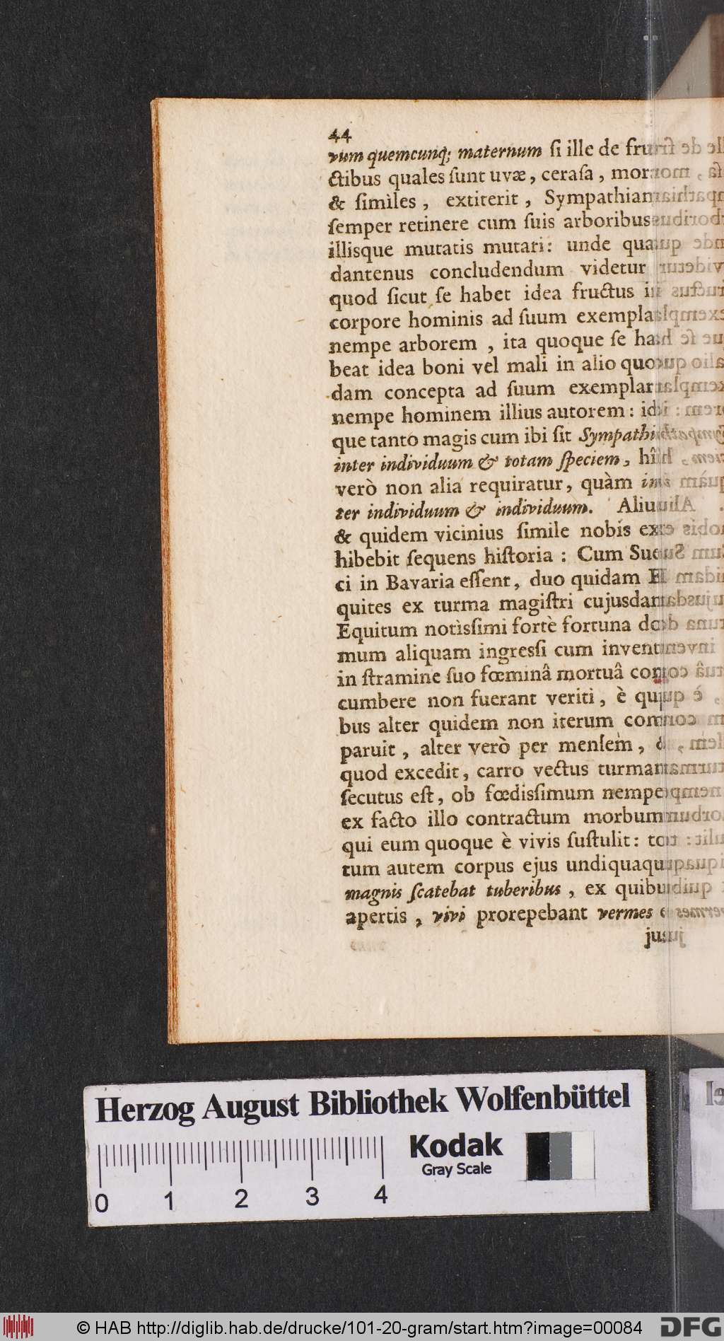 http://diglib.hab.de/drucke/101-20-gram/00084.jpg