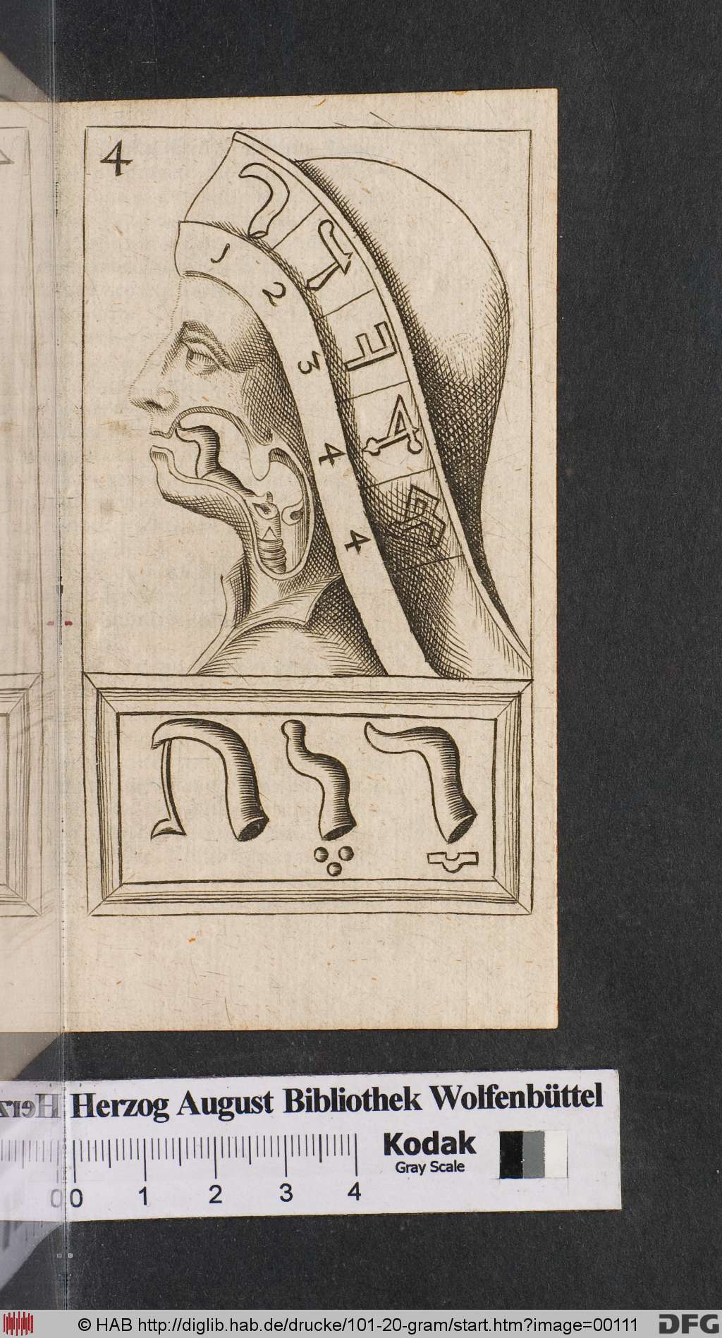 http://diglib.hab.de/drucke/101-20-gram/00111.jpg