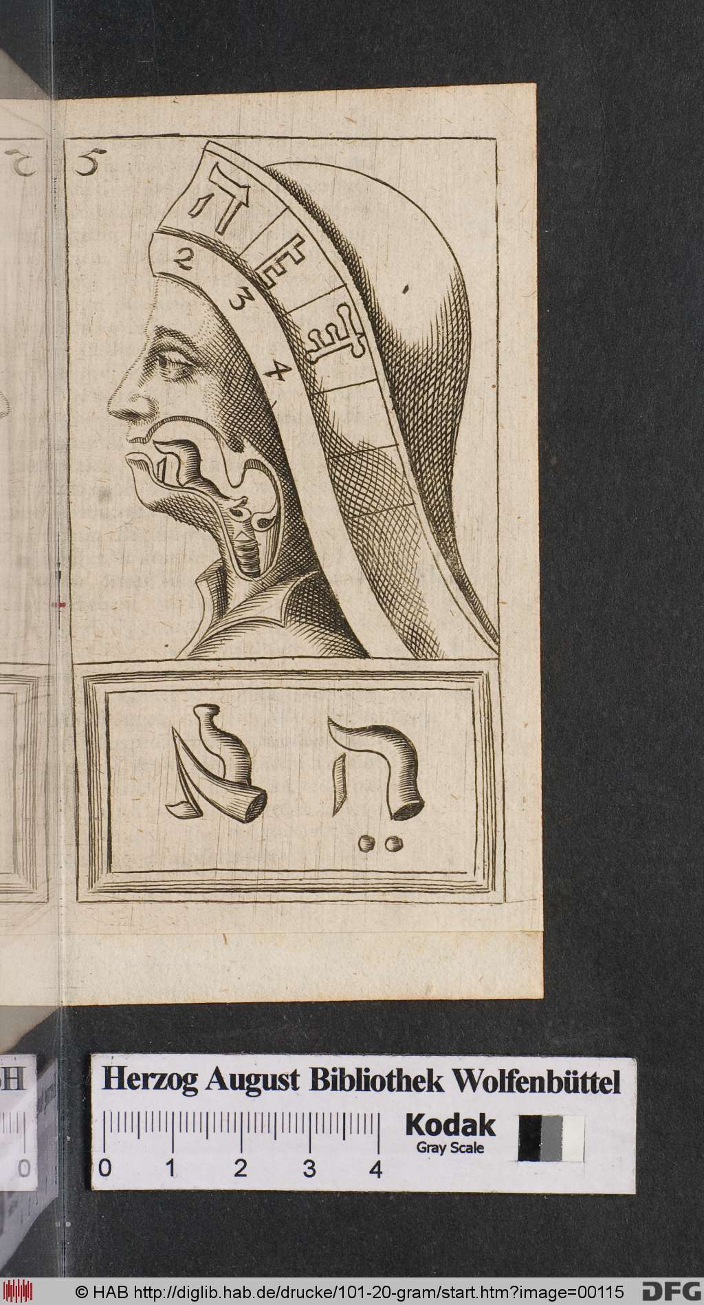 http://diglib.hab.de/drucke/101-20-gram/00115.jpg