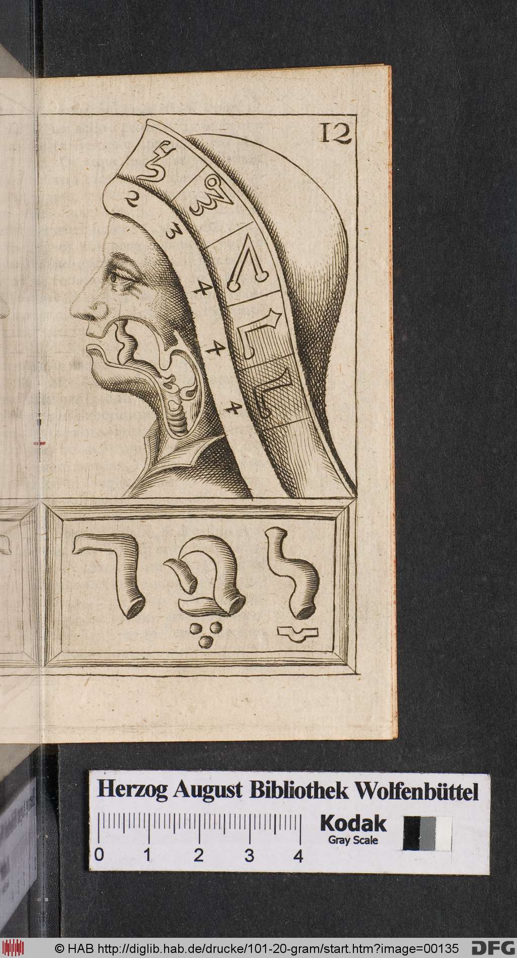 http://diglib.hab.de/drucke/101-20-gram/00135.jpg