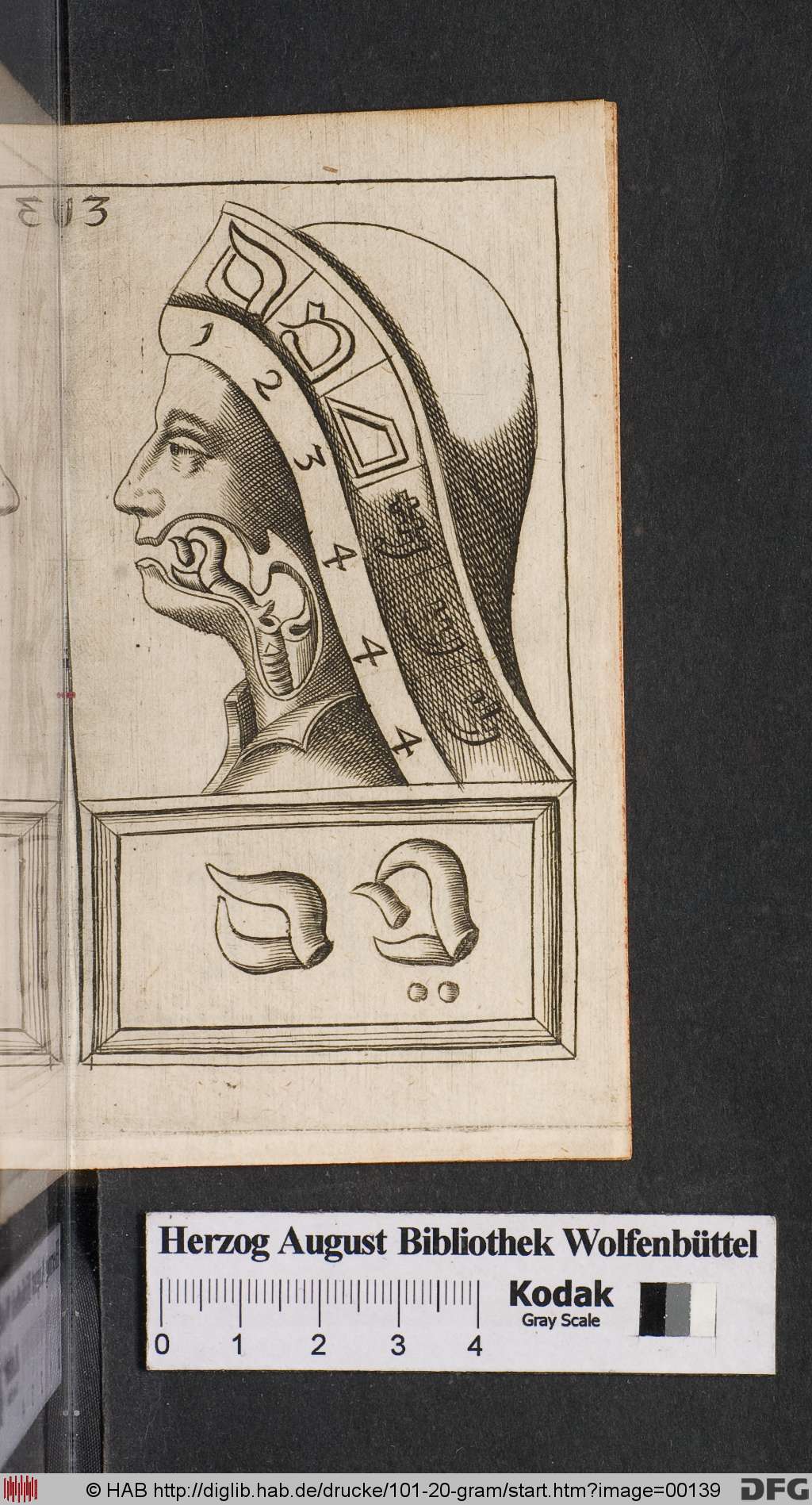 http://diglib.hab.de/drucke/101-20-gram/00139.jpg