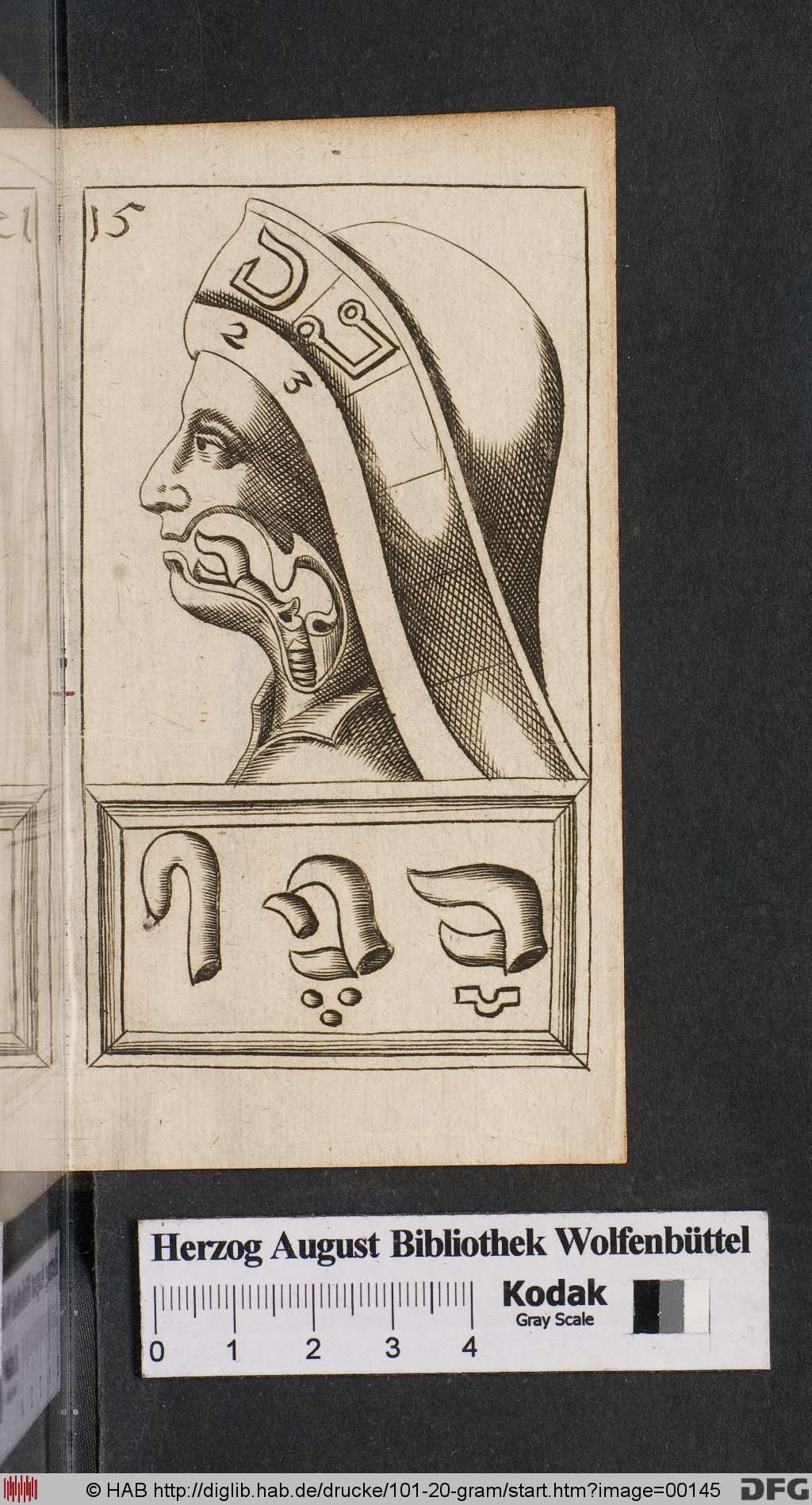 http://diglib.hab.de/drucke/101-20-gram/00145.jpg