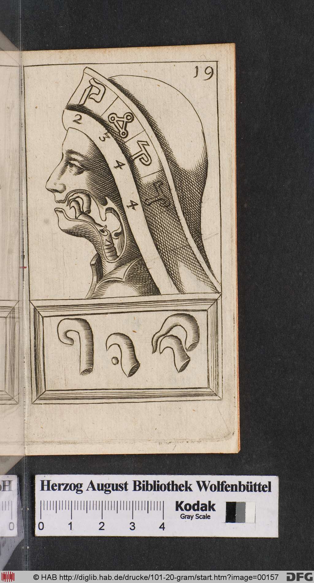 http://diglib.hab.de/drucke/101-20-gram/00157.jpg