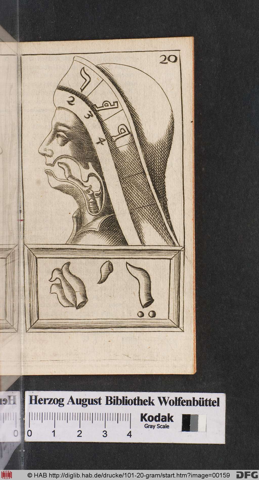 http://diglib.hab.de/drucke/101-20-gram/00159.jpg