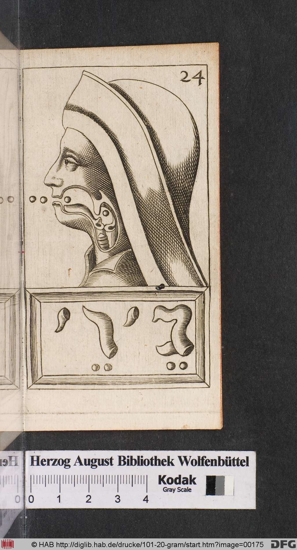 http://diglib.hab.de/drucke/101-20-gram/00175.jpg