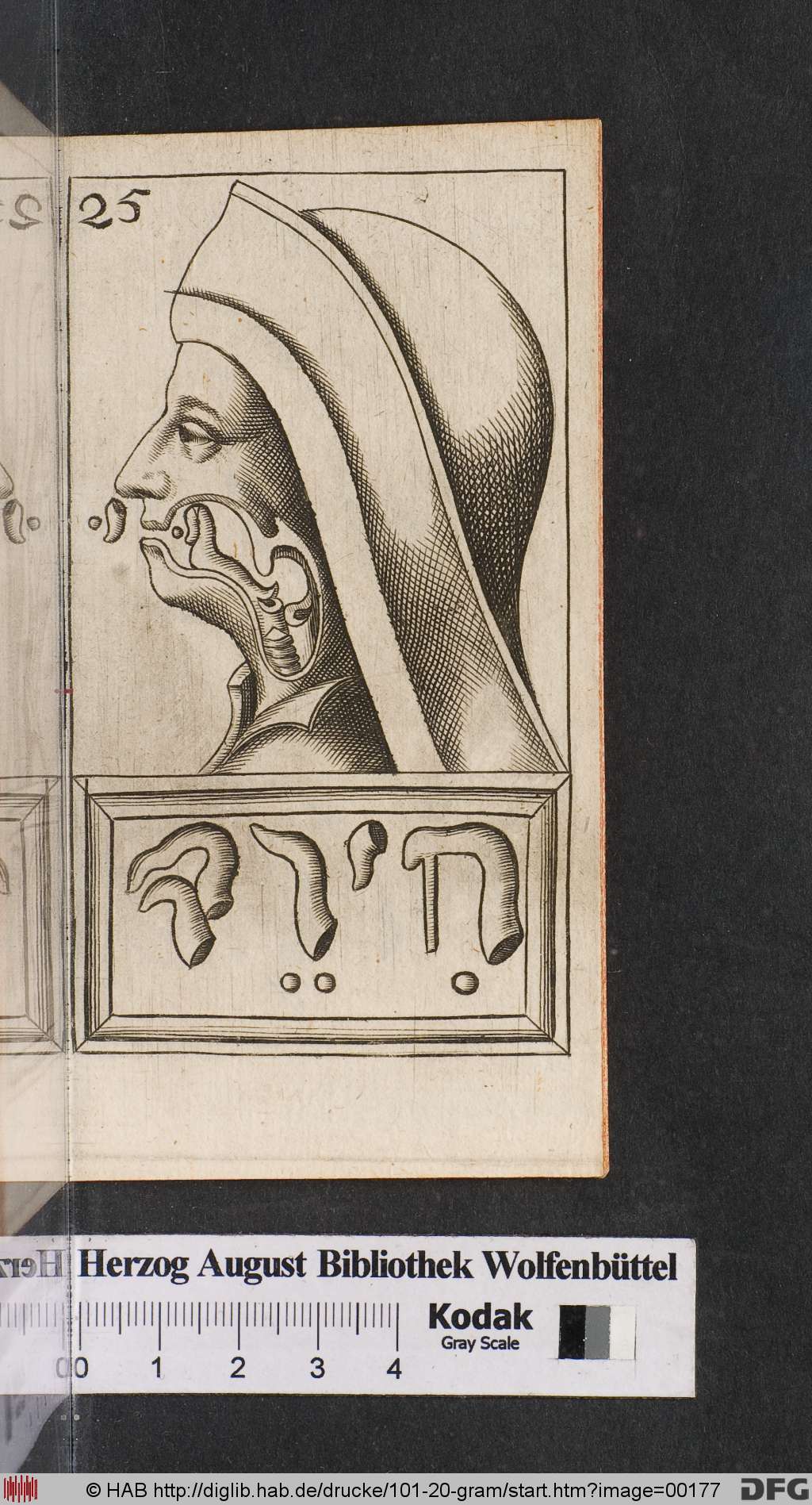 http://diglib.hab.de/drucke/101-20-gram/00177.jpg