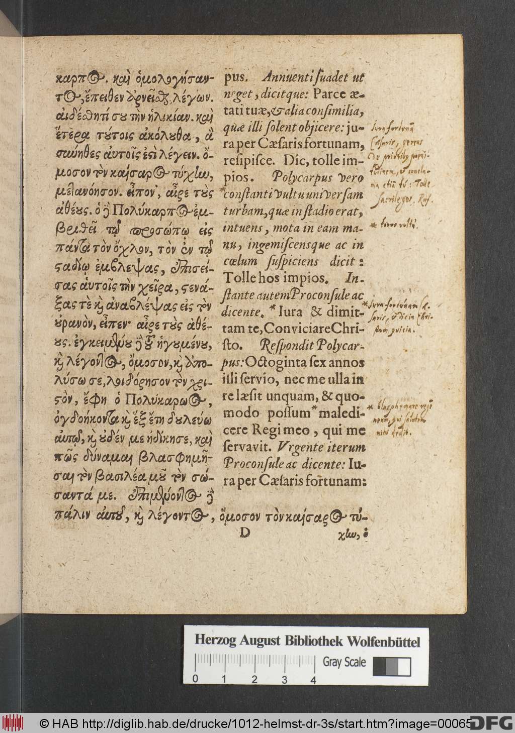 http://diglib.hab.de/drucke/1012-helmst-dr-3s/00065.jpg