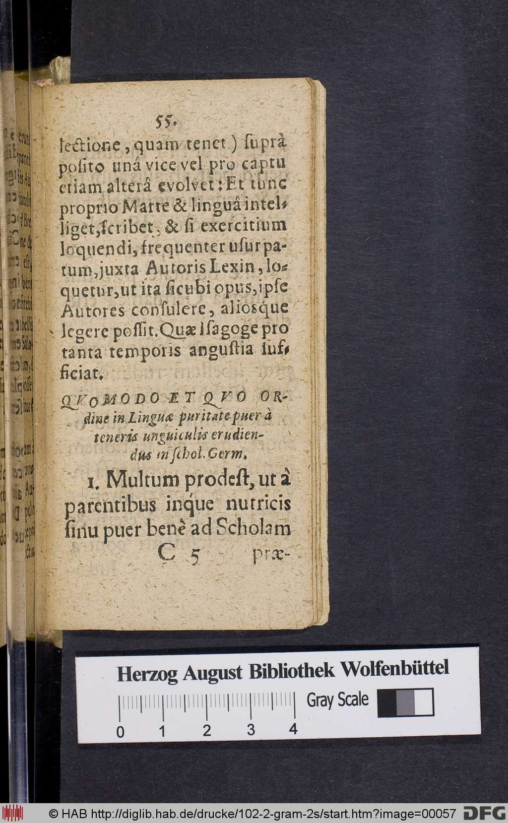 http://diglib.hab.de/drucke/102-2-gram-2s/00057.jpg