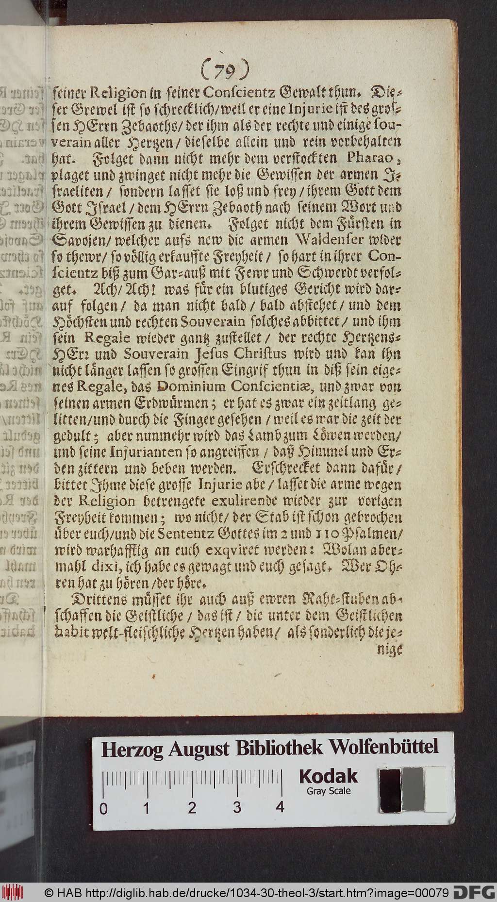 http://diglib.hab.de/drucke/1034-30-theol-3/00079.jpg