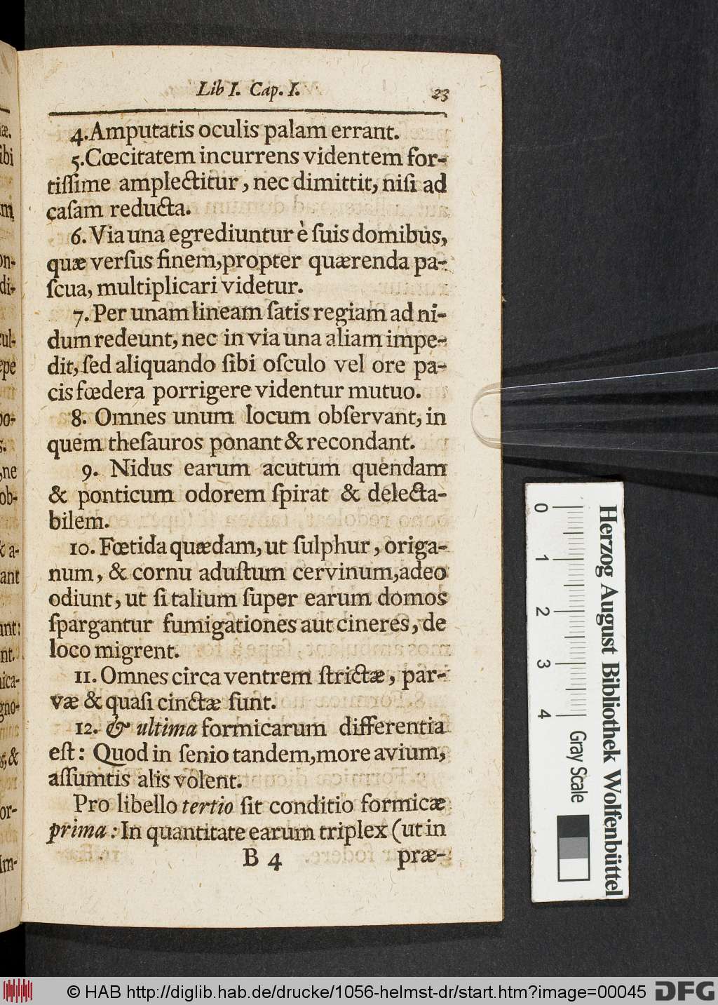 http://diglib.hab.de/drucke/1056-helmst-dr/00045.jpg