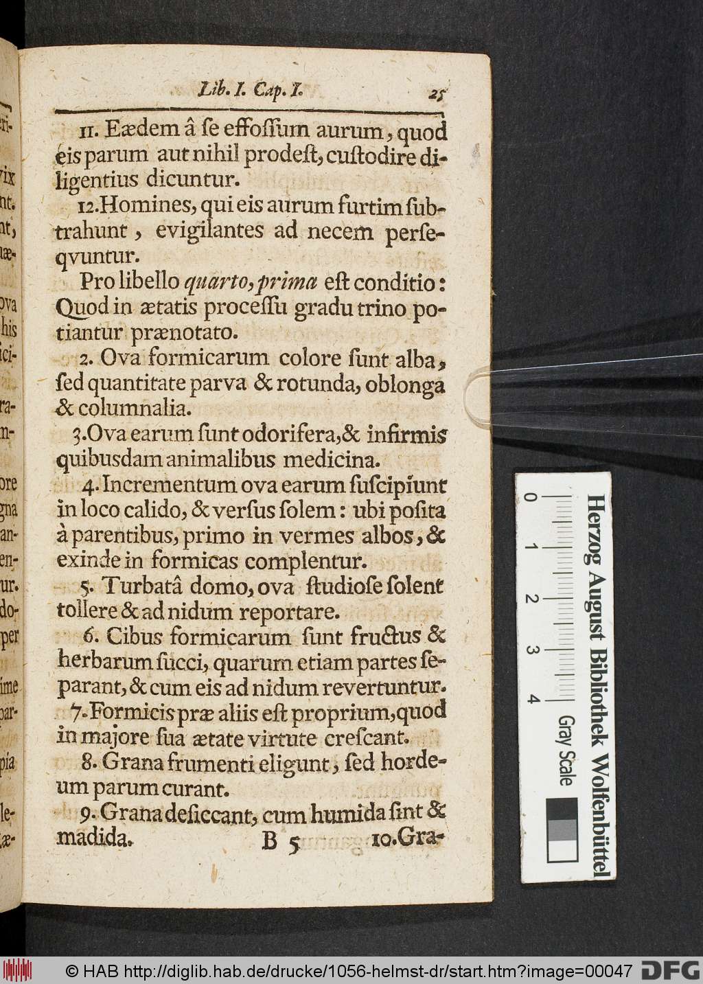 http://diglib.hab.de/drucke/1056-helmst-dr/00047.jpg