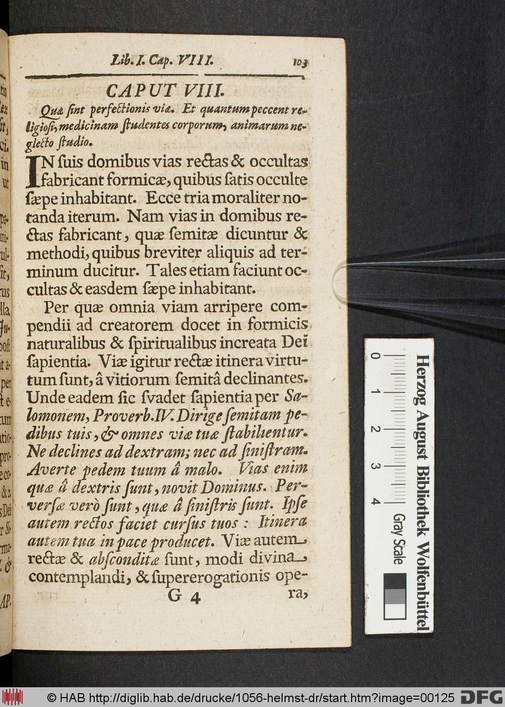 http://diglib.hab.de/drucke/1056-helmst-dr/00125.jpg