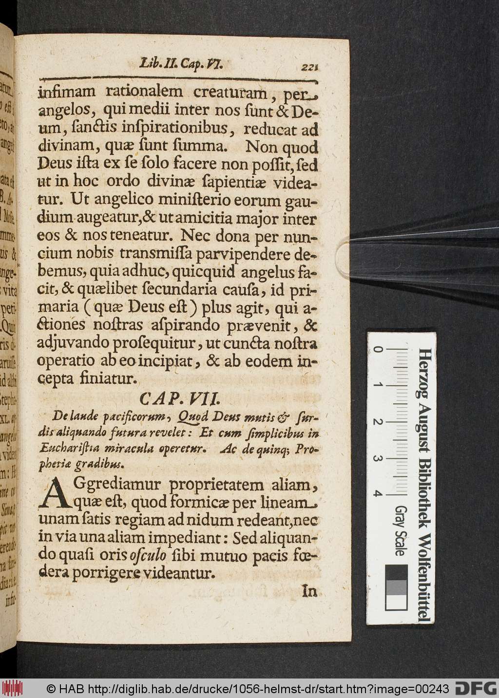 http://diglib.hab.de/drucke/1056-helmst-dr/00243.jpg