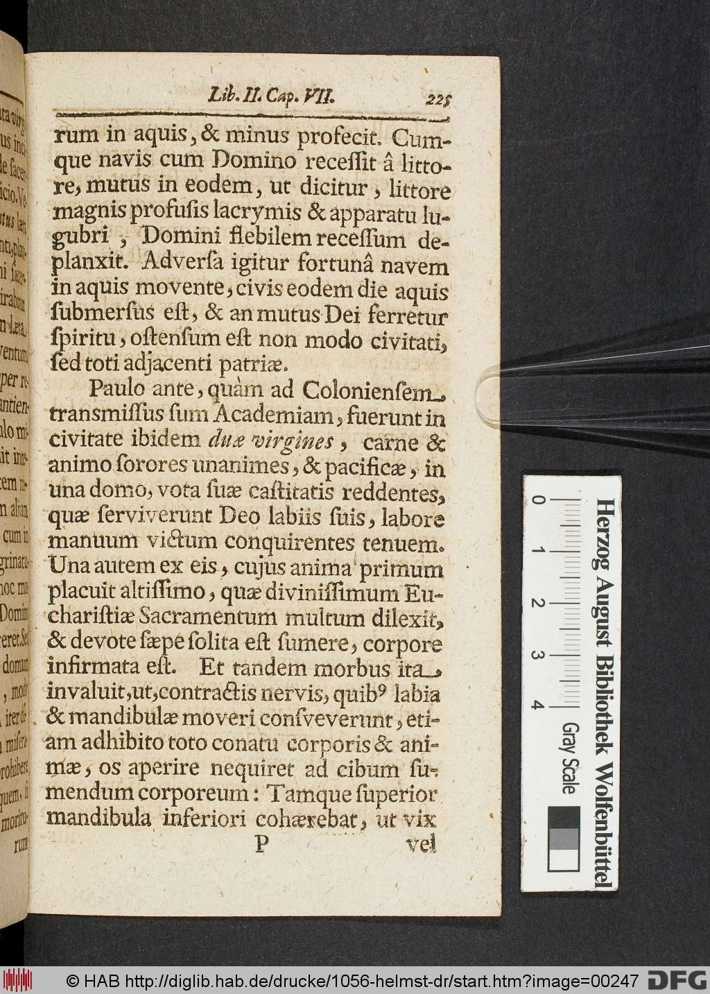 http://diglib.hab.de/drucke/1056-helmst-dr/00247.jpg