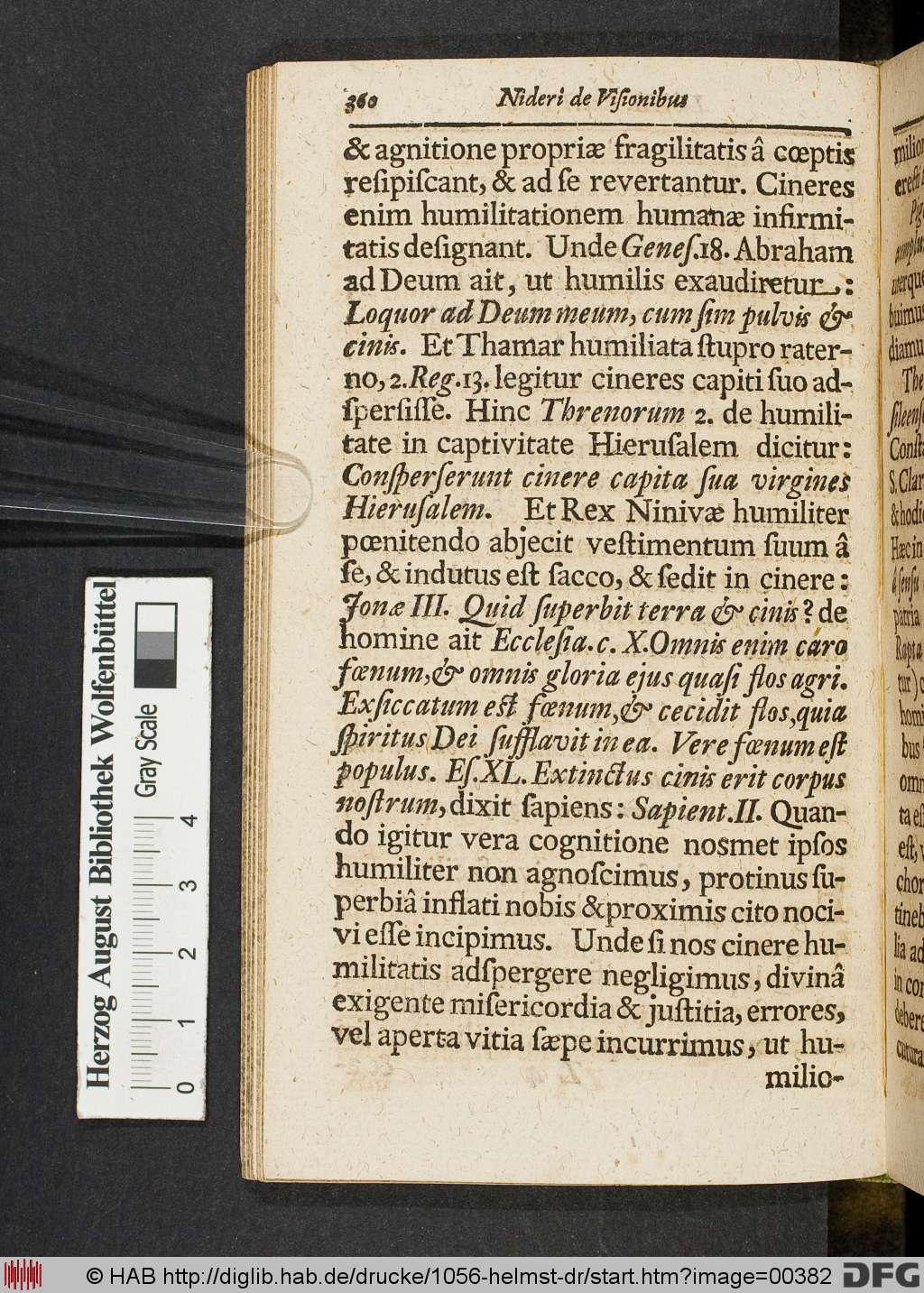http://diglib.hab.de/drucke/1056-helmst-dr/00382.jpg