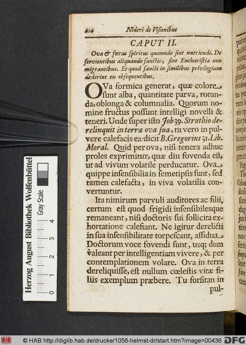 http://diglib.hab.de/drucke/1056-helmst-dr/00436.jpg