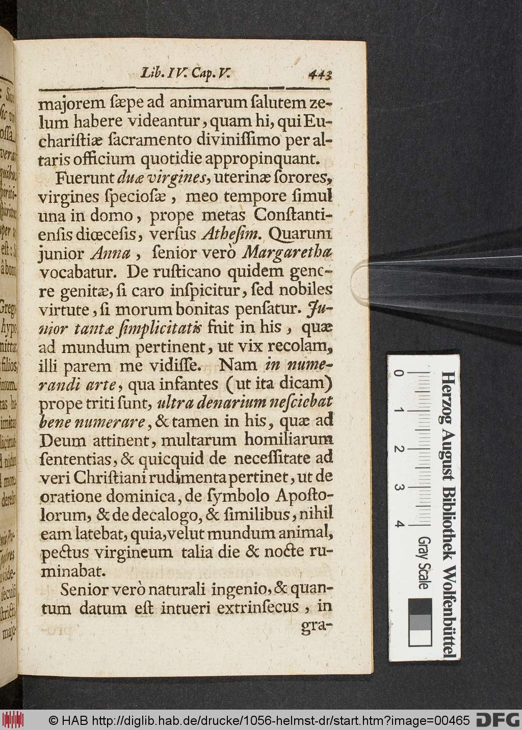 http://diglib.hab.de/drucke/1056-helmst-dr/00465.jpg
