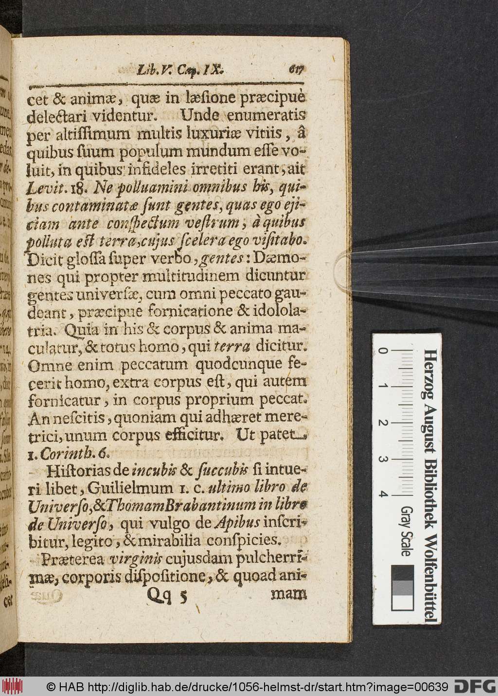 http://diglib.hab.de/drucke/1056-helmst-dr/00639.jpg