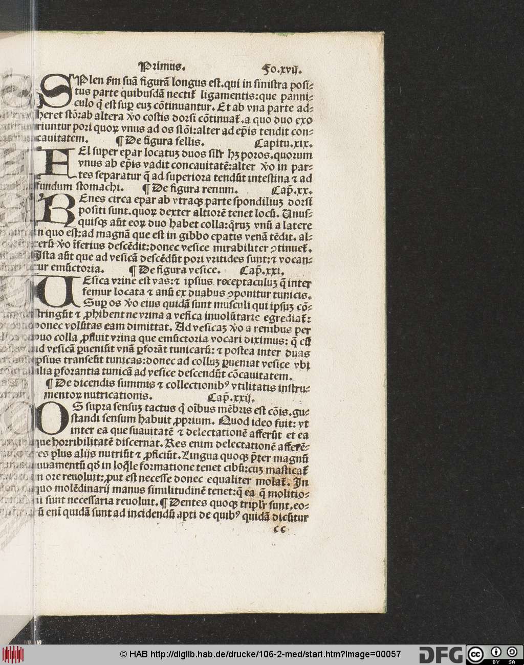 http://diglib.hab.de/drucke/106-2-med/00057.jpg