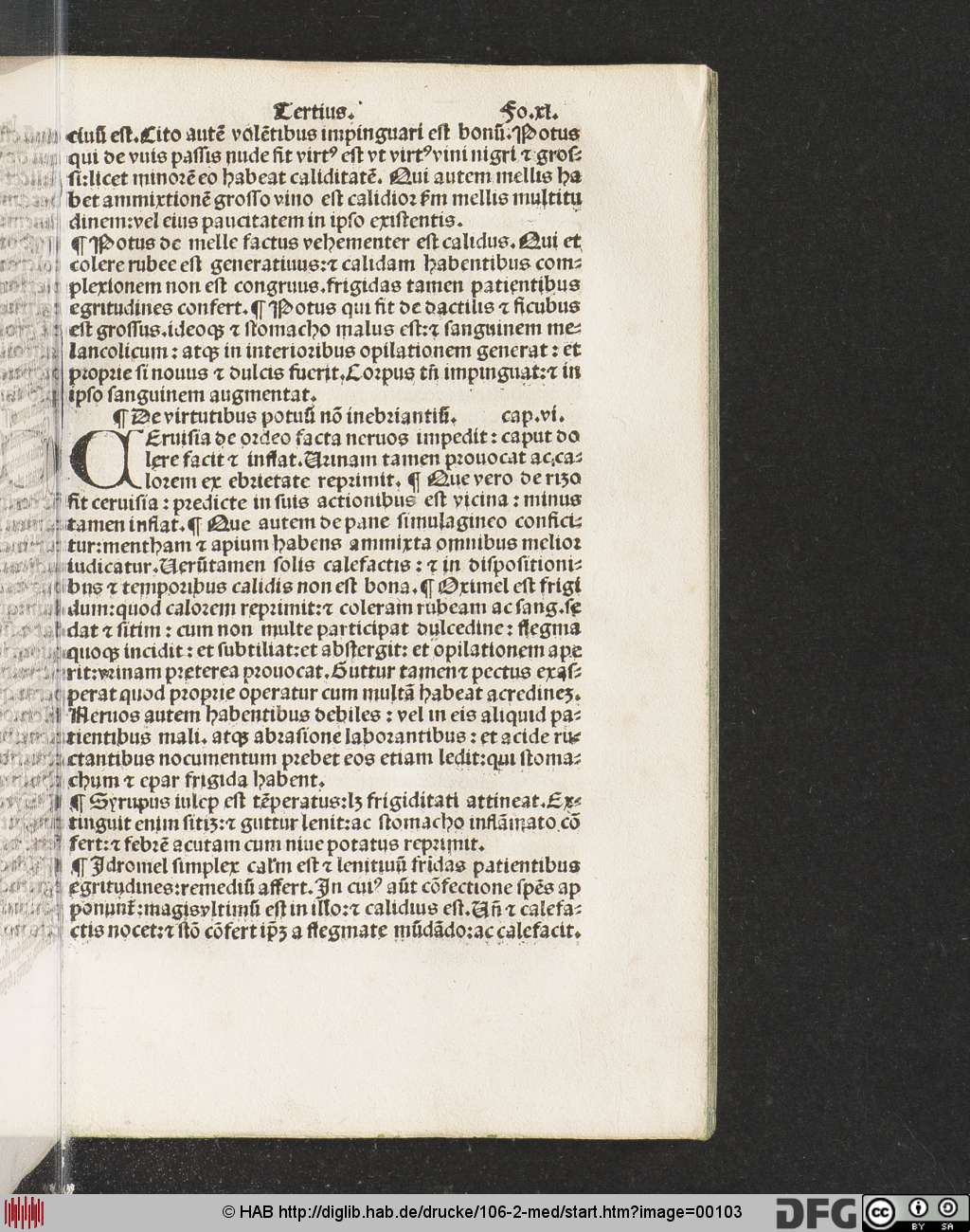http://diglib.hab.de/drucke/106-2-med/00103.jpg