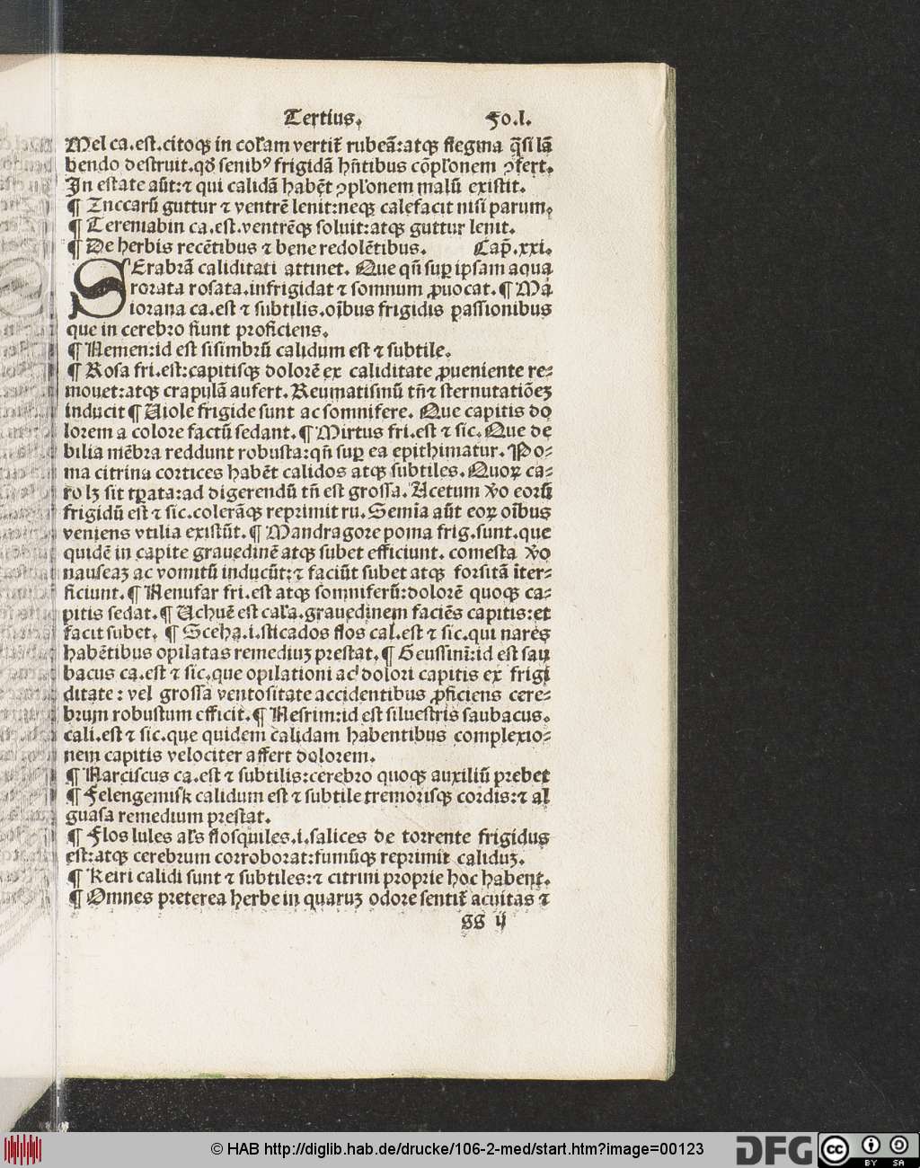 http://diglib.hab.de/drucke/106-2-med/00123.jpg
