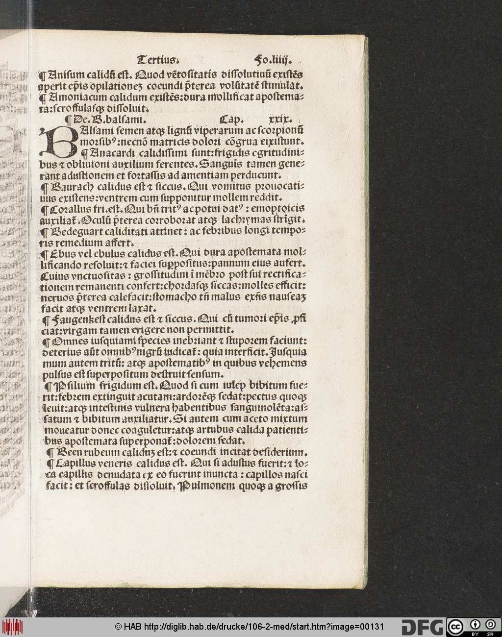 http://diglib.hab.de/drucke/106-2-med/00131.jpg