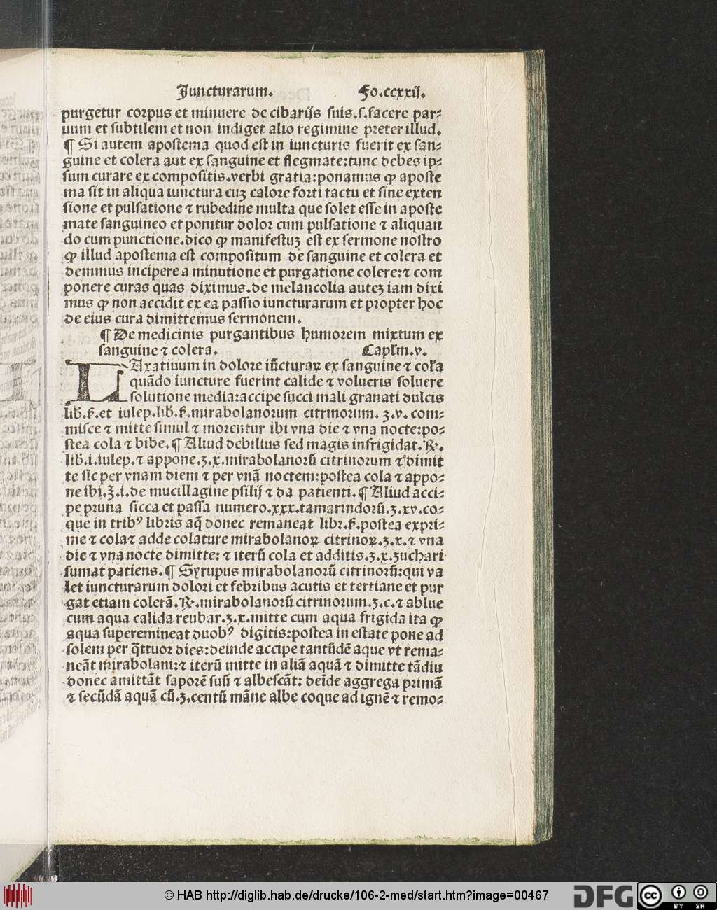 http://diglib.hab.de/drucke/106-2-med/00467.jpg
