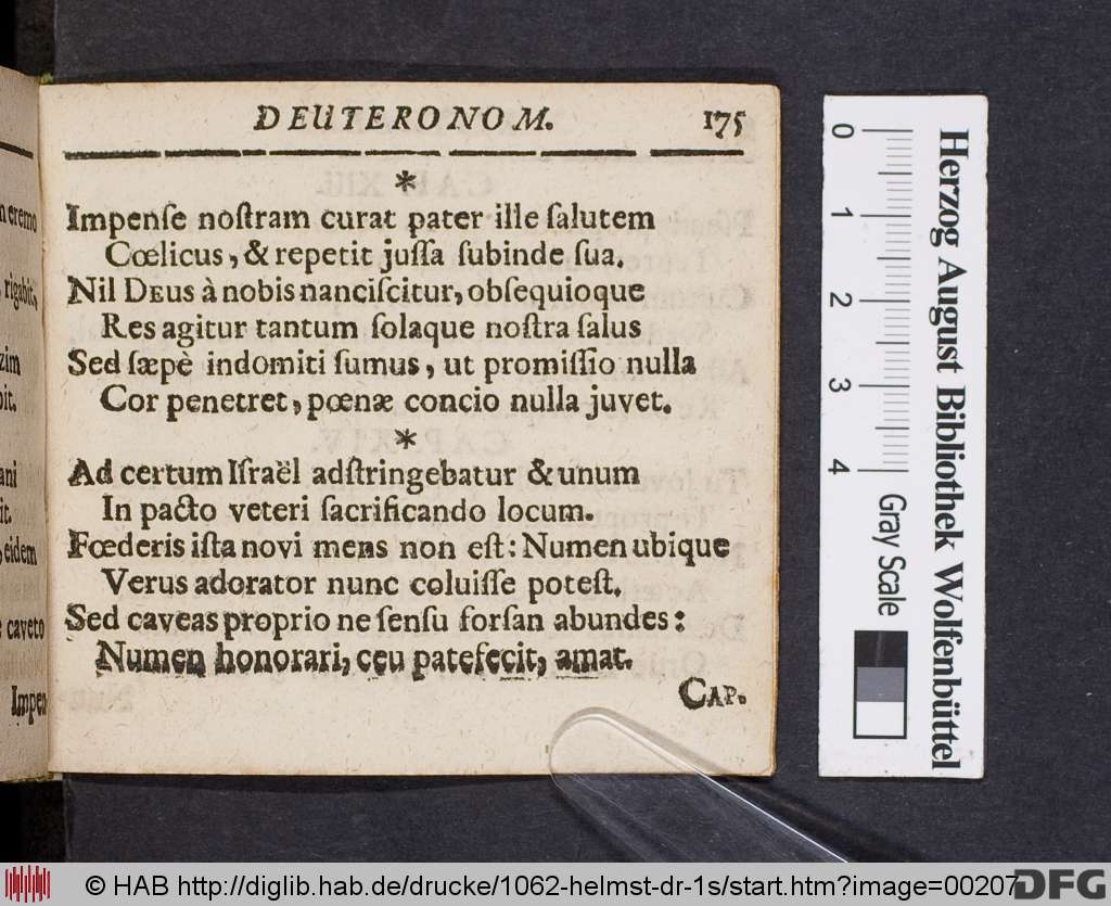 http://diglib.hab.de/drucke/1062-helmst-dr-1s/00207.jpg