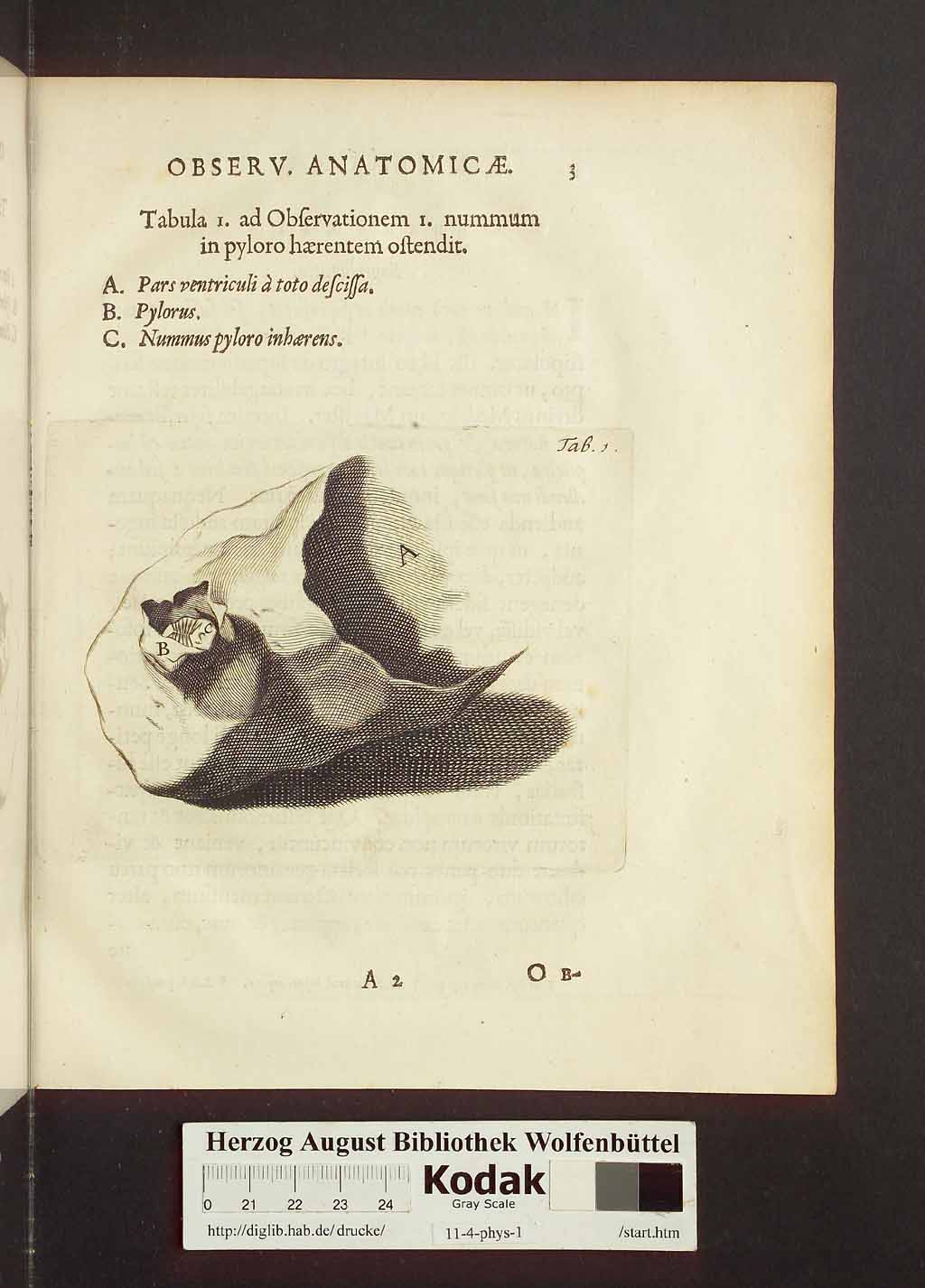 http://diglib.hab.de/drucke/11-4-phys-1/00033.jpg