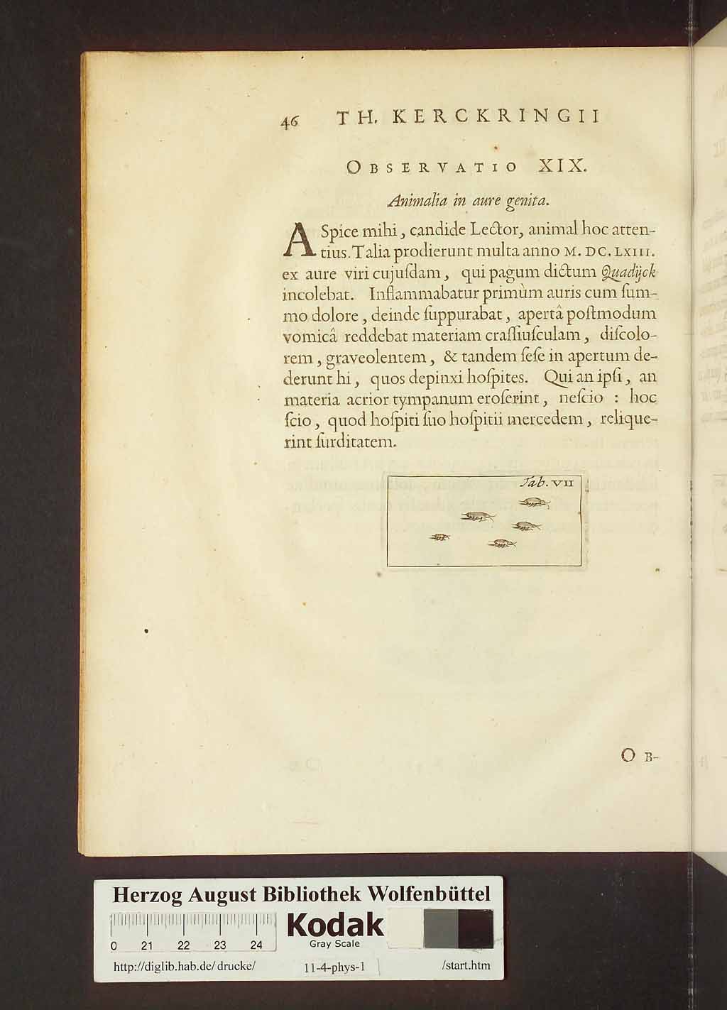 http://diglib.hab.de/drucke/11-4-phys-1/00076.jpg