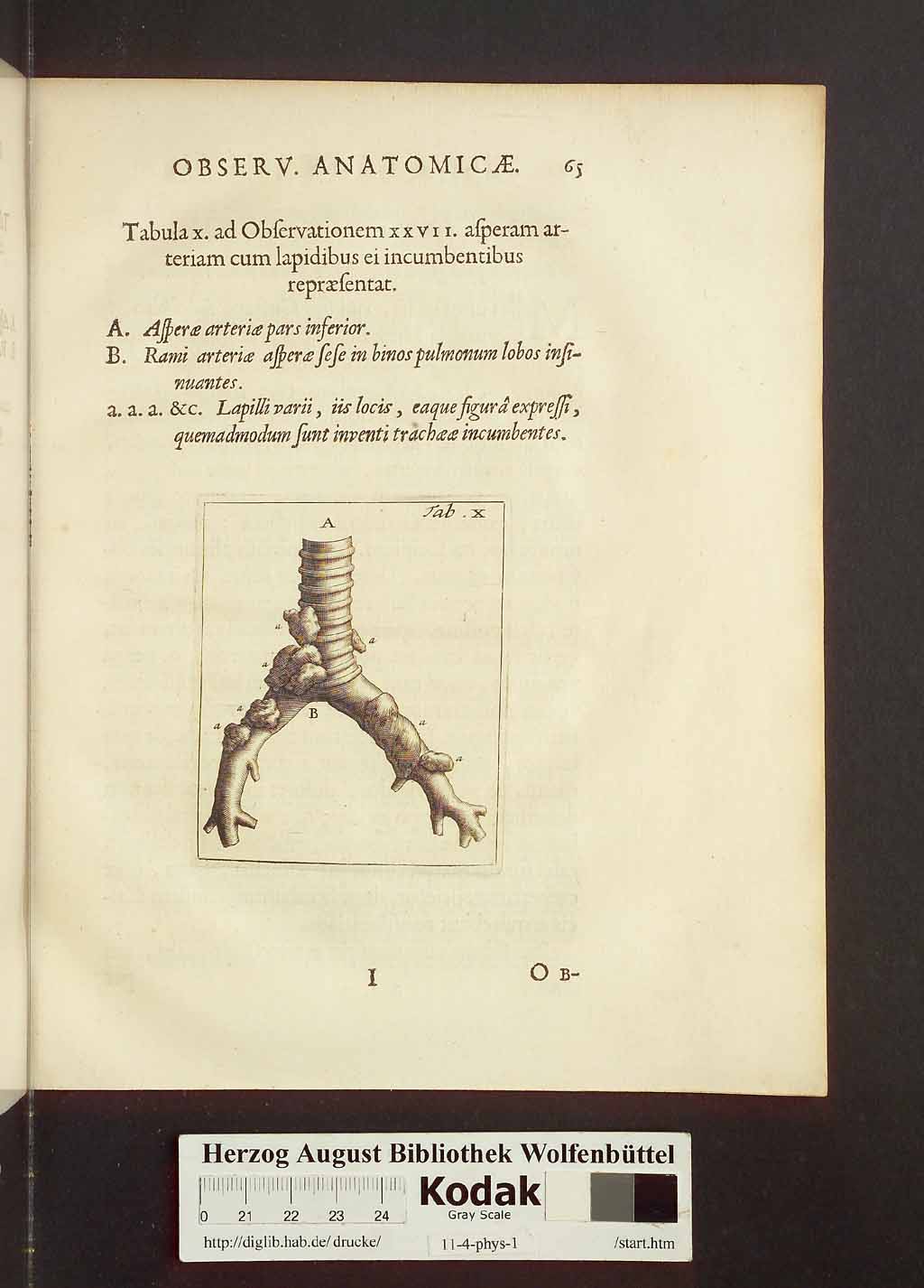 http://diglib.hab.de/drucke/11-4-phys-1/00095.jpg